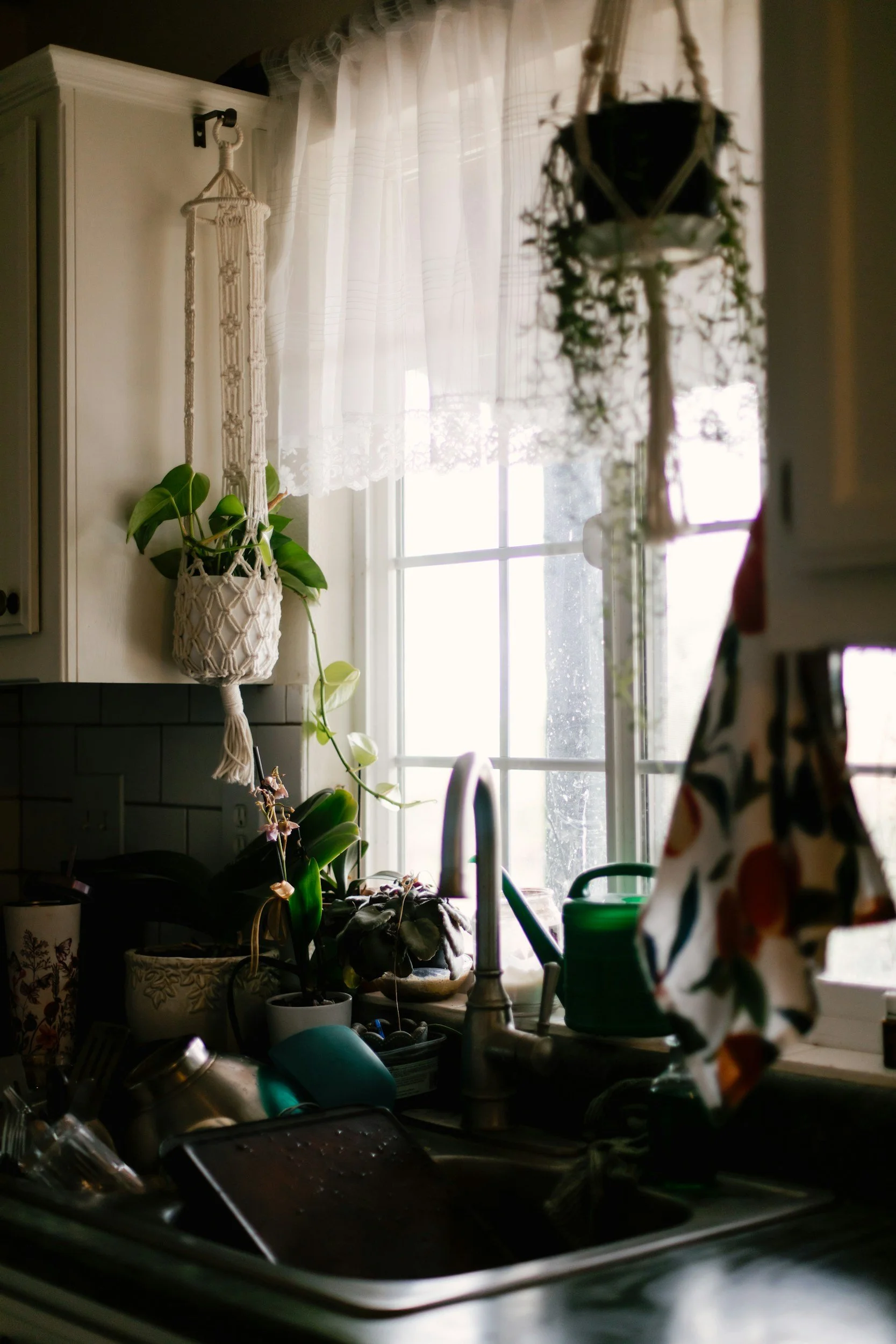 A cluttered kitchen sink area by a window, with potted plants, hanging planters, and various kitchen items.