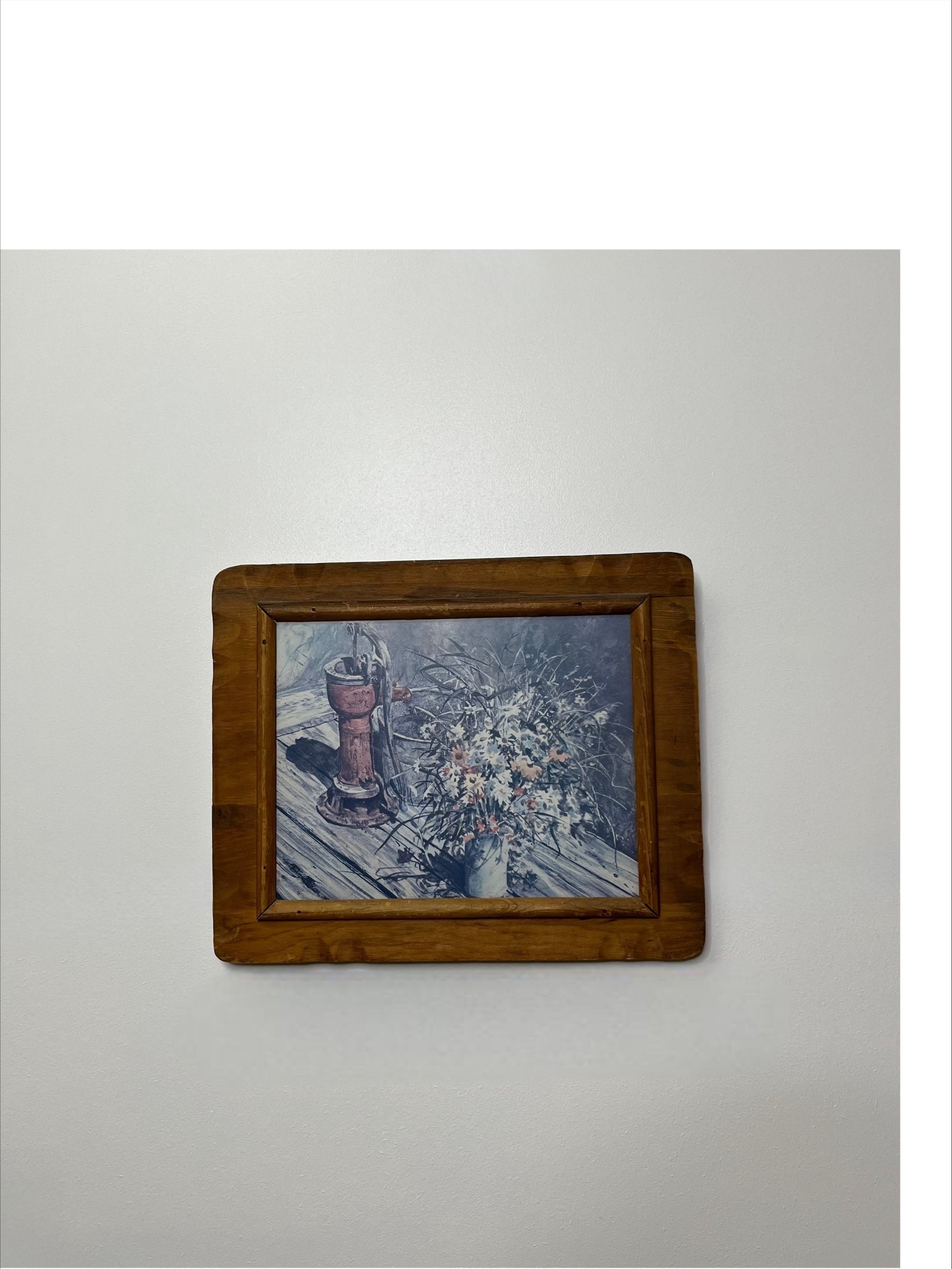 Wood Framed Floral Print