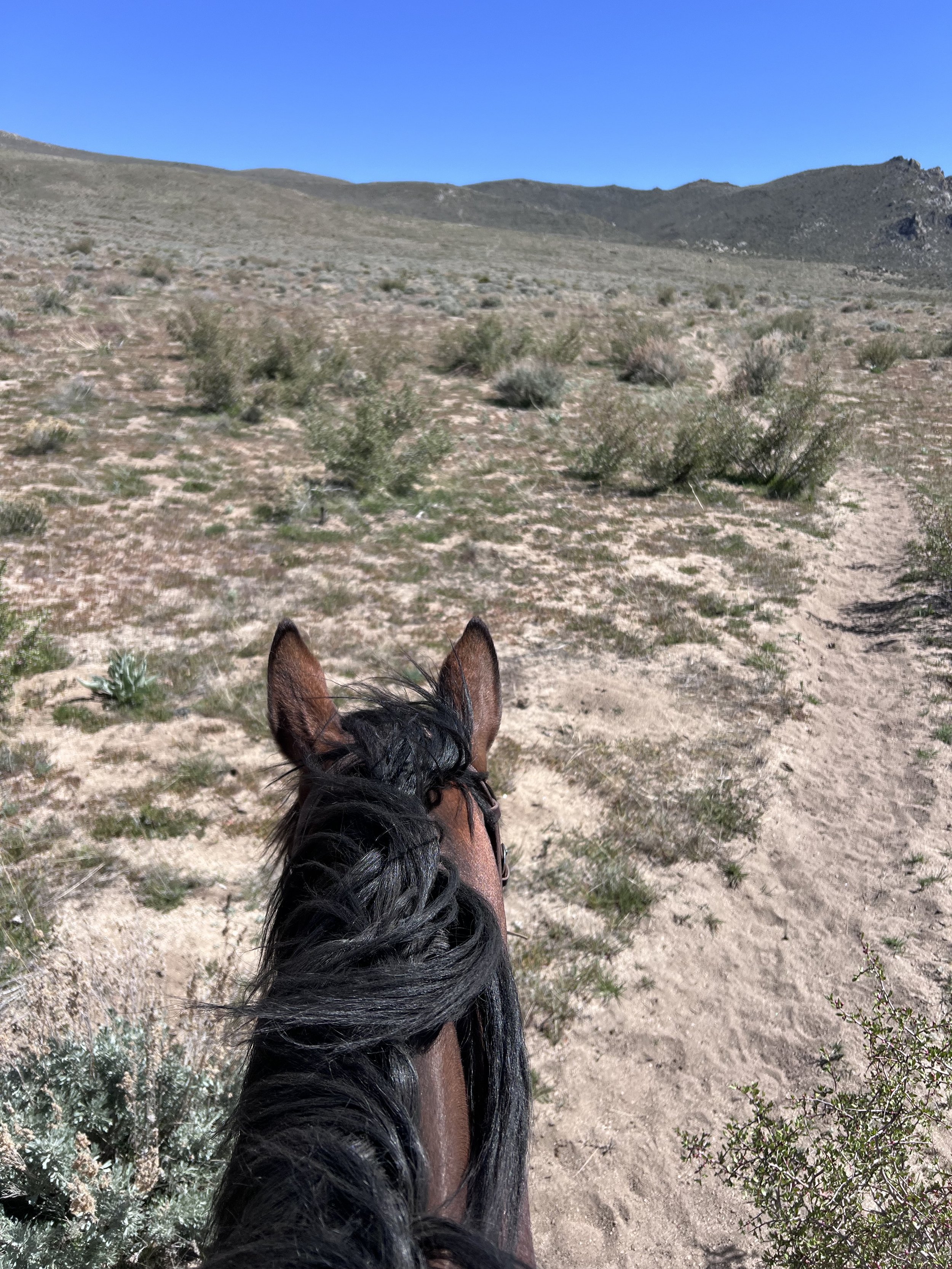 Summer Trail Ride Series