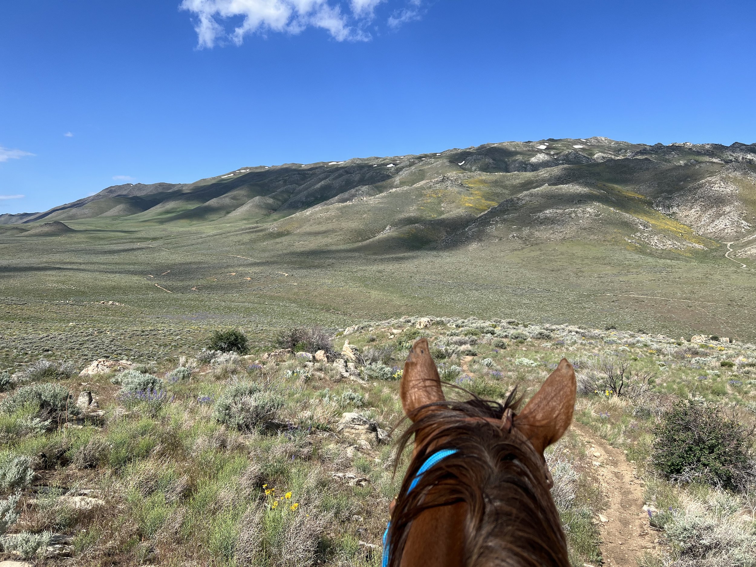Summer Trail Ride Series