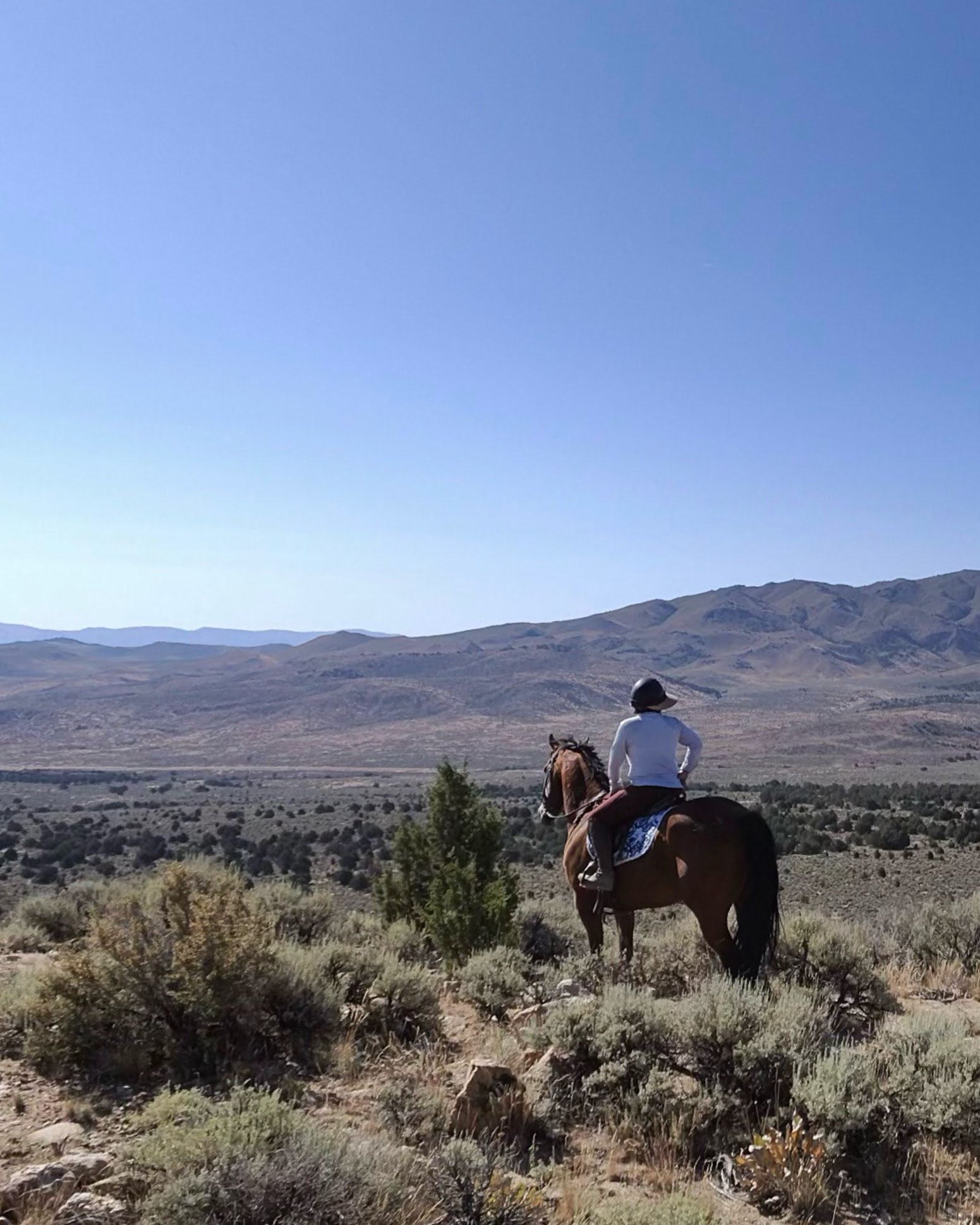 Summer Trail Ride Series