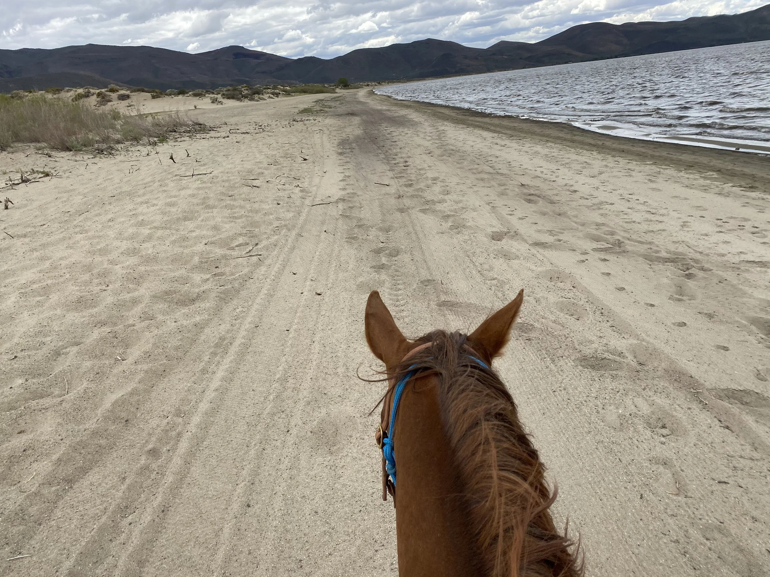 Summer Trail Ride Series