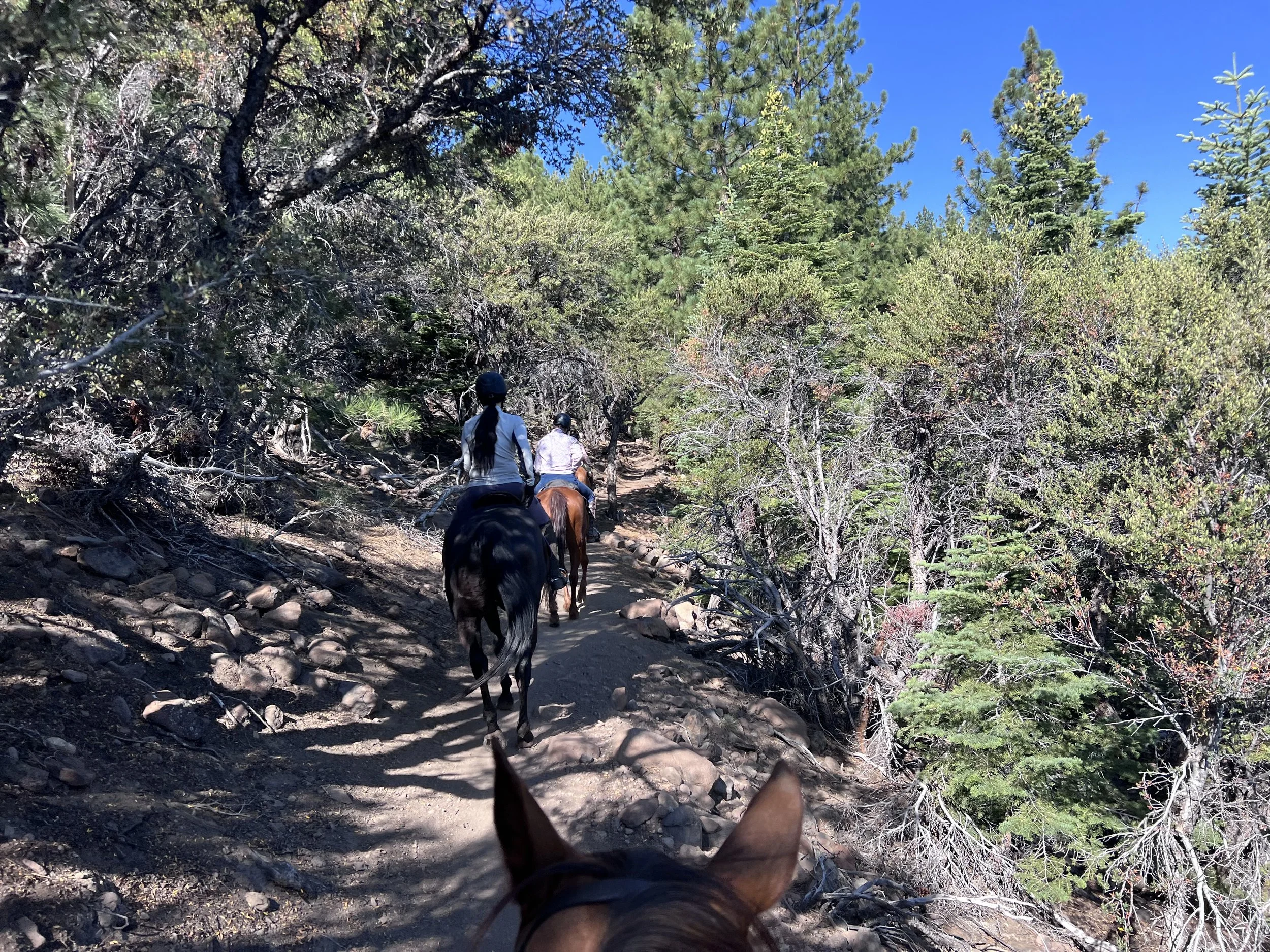 Summer Trail Ride Series