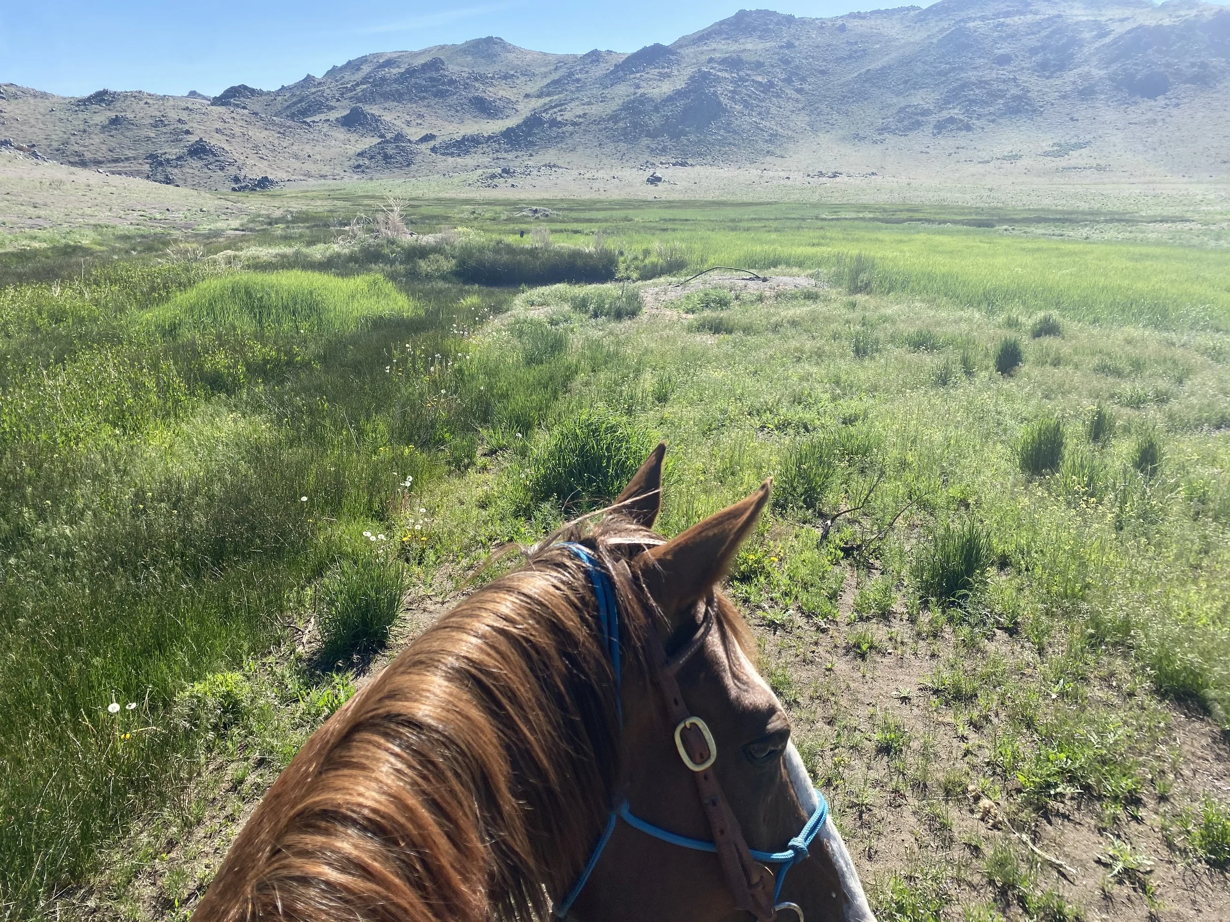 Summer Trail Ride Series