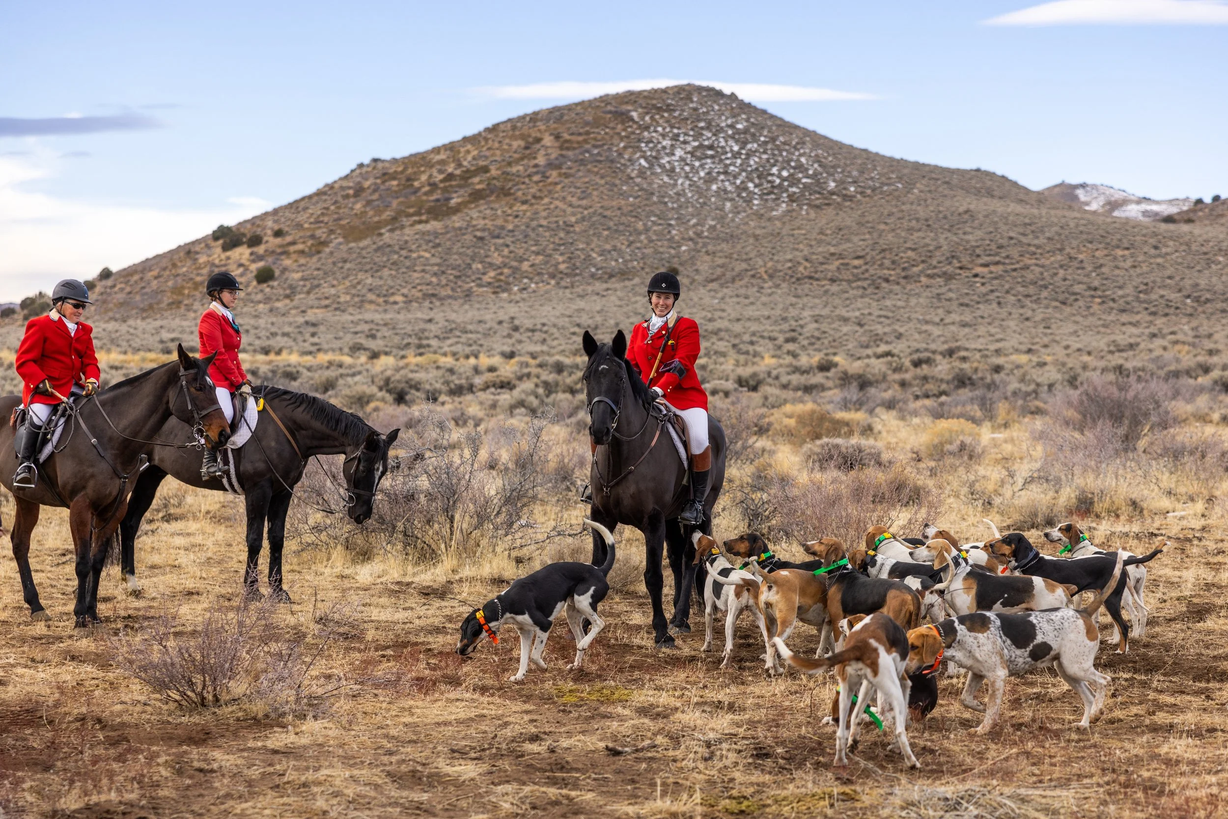 Hounds Will Meet