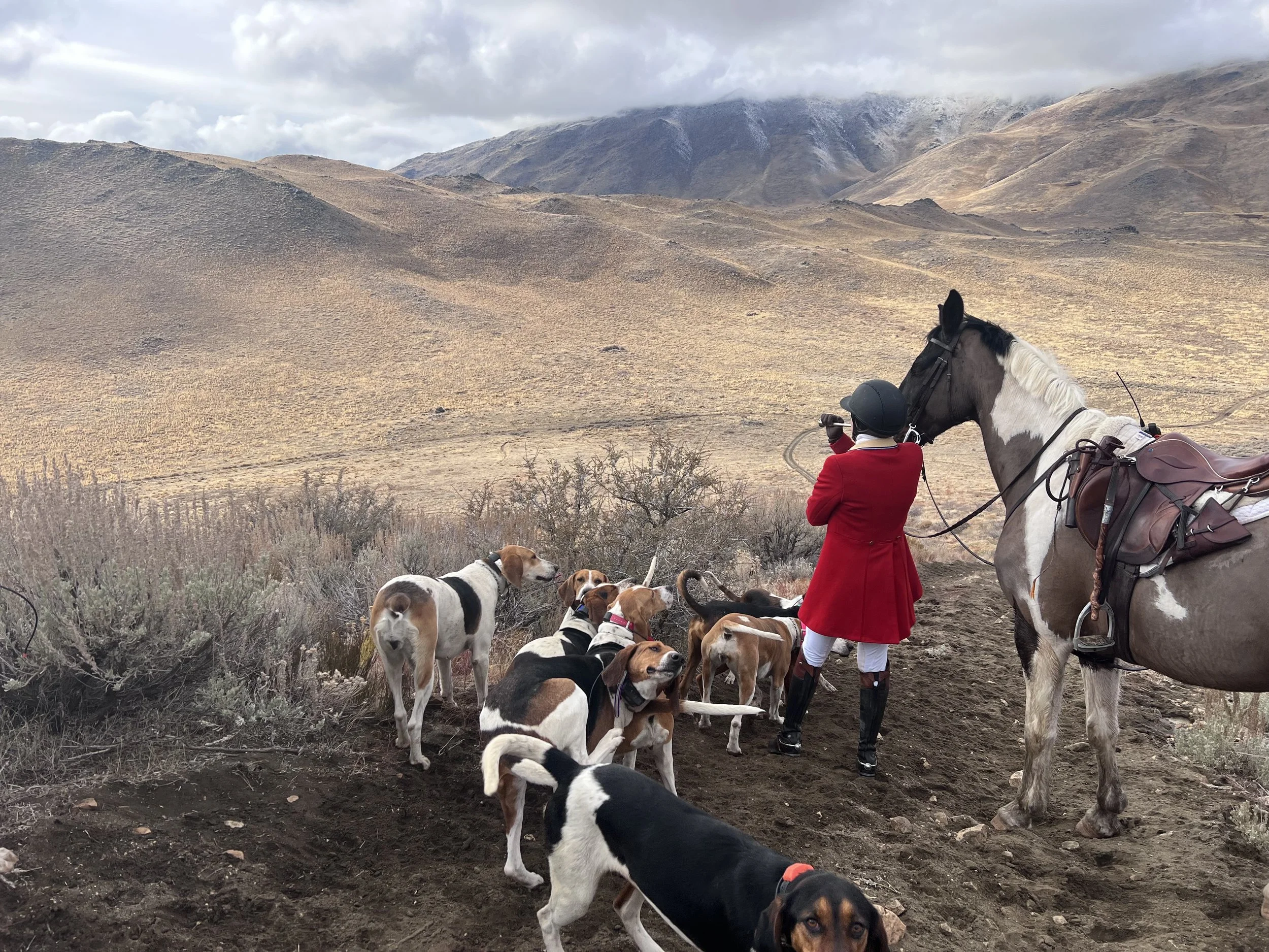 Hounds Will Meet