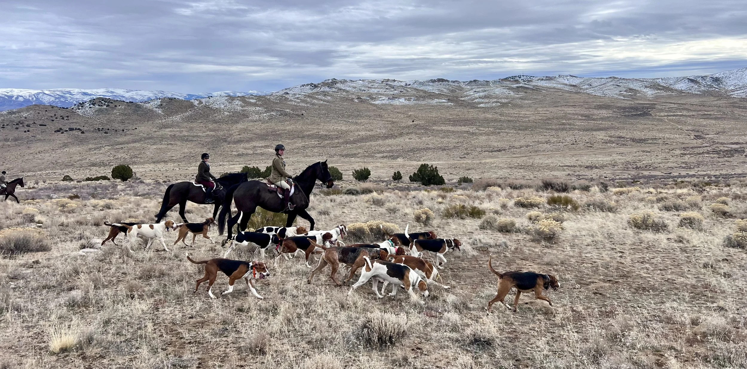 Hounds Will Meet