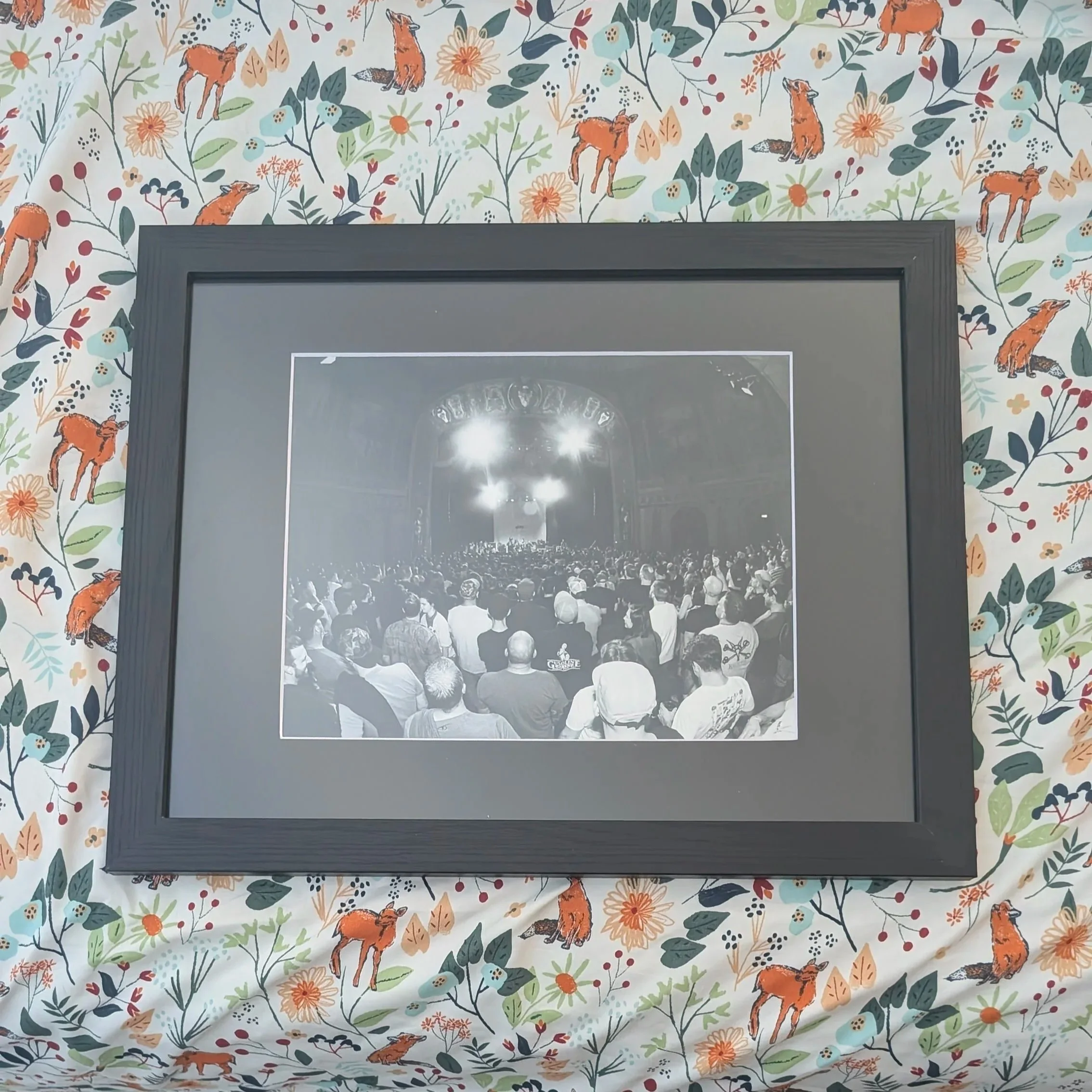 processed_c6dd89999b294829aec5ef0c5835fd96.jpg
