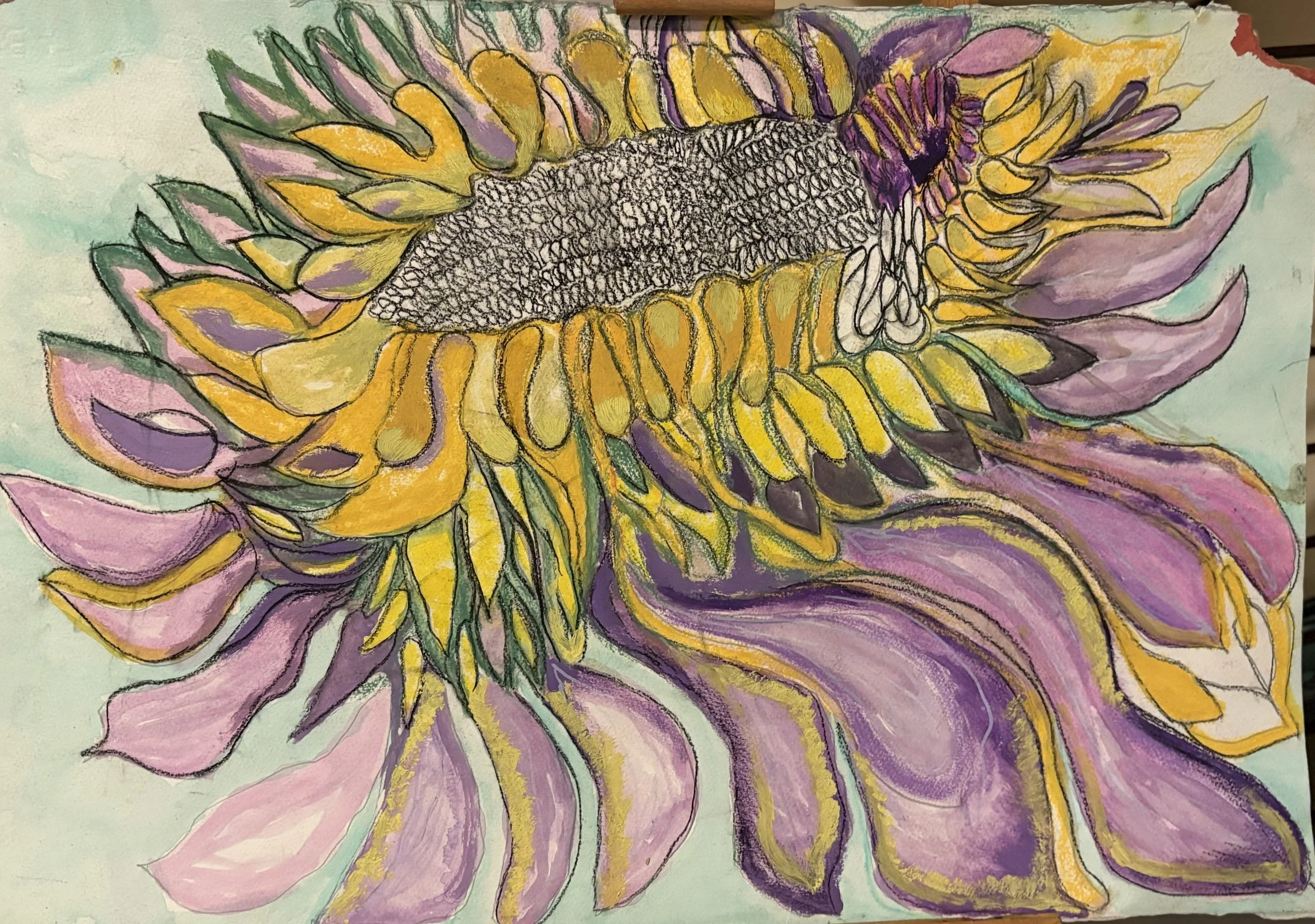 sunflower.jpg