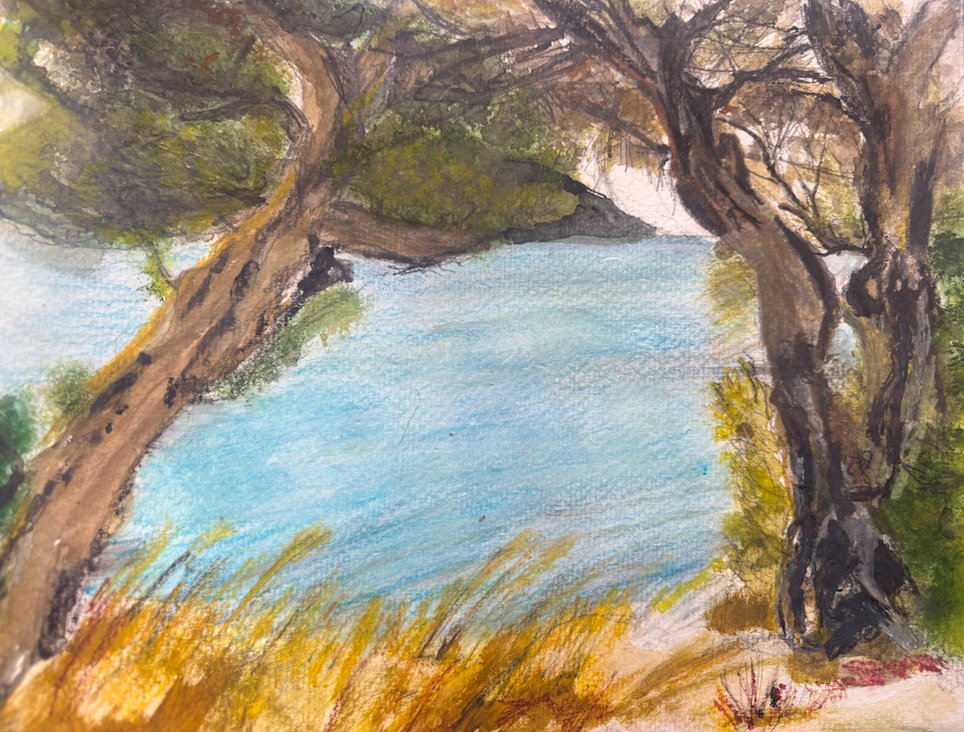 olives by the beach screenshot.jpg