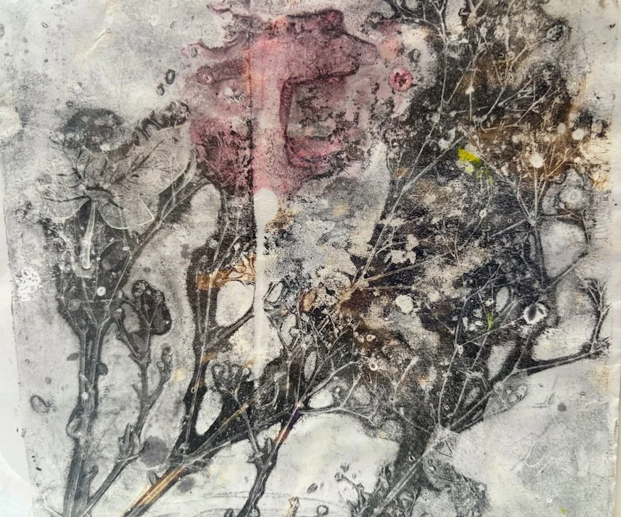 seaweed botanical print.jpg