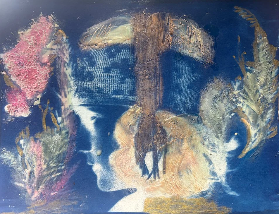 Phoebe screenshot.jpg