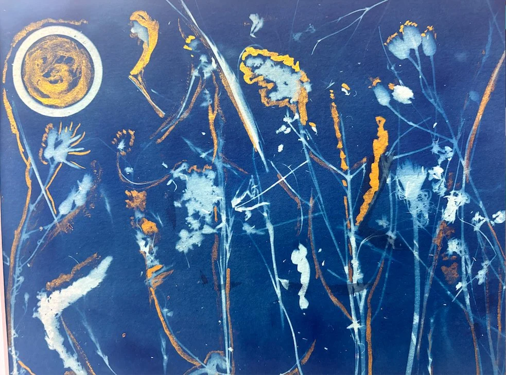 cyanotype field screenshot.jpg