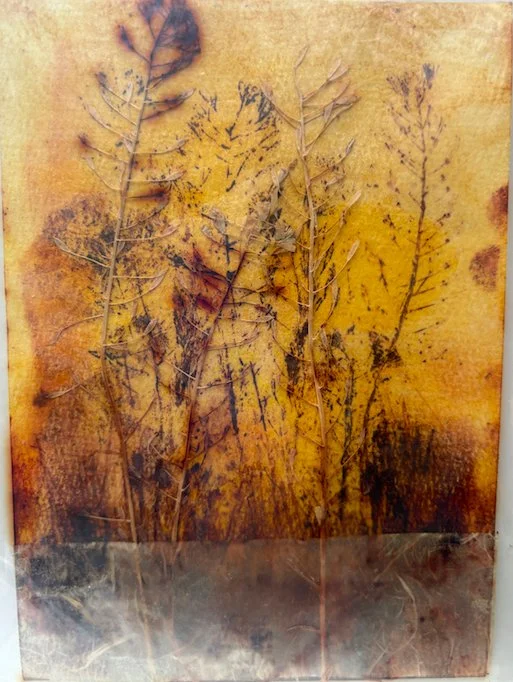 layered botanical print screenshot.jpg