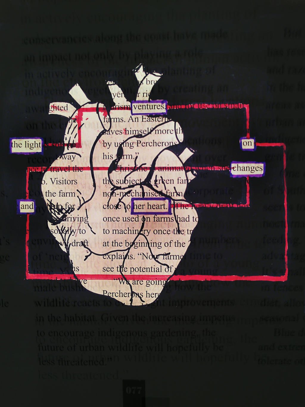 blackout_poetry_heart__by_ashattack42_db2dk05-fullview.jpg