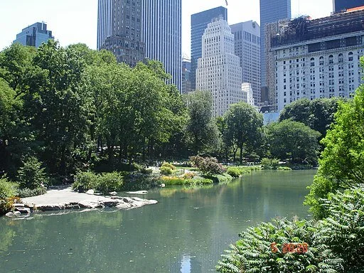 512px-Central_Park,_New_York_City,_2006_006.jpg