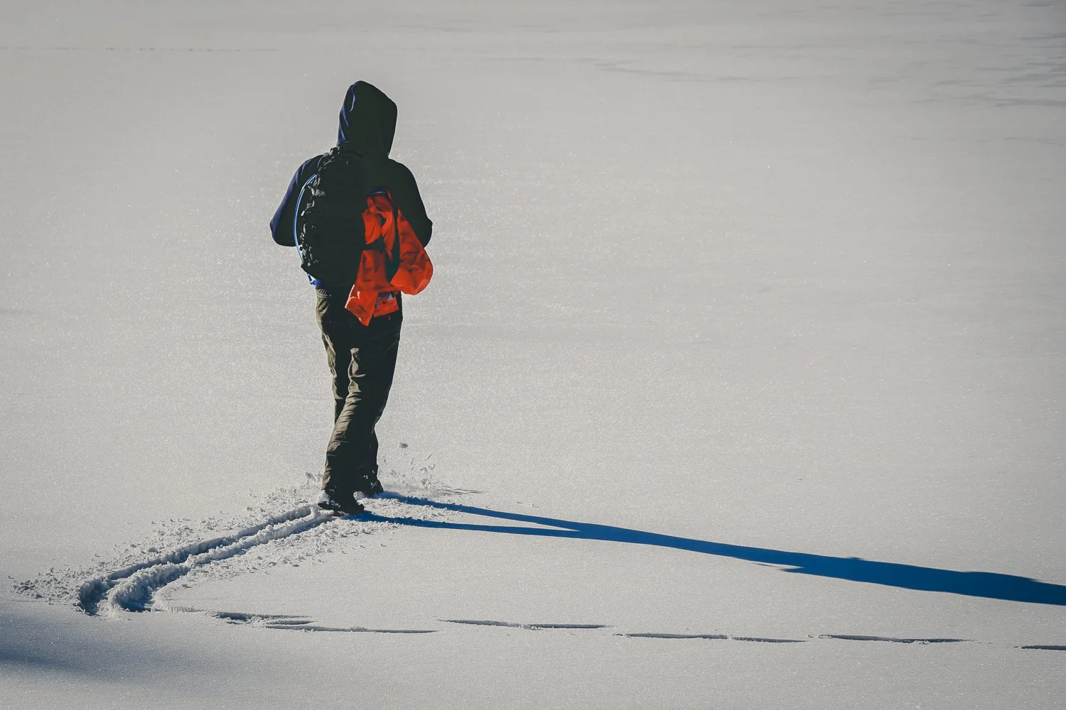 "Snow Message" — fine art nature photograph taken in New England by Annah Kim Nelson-Feeney