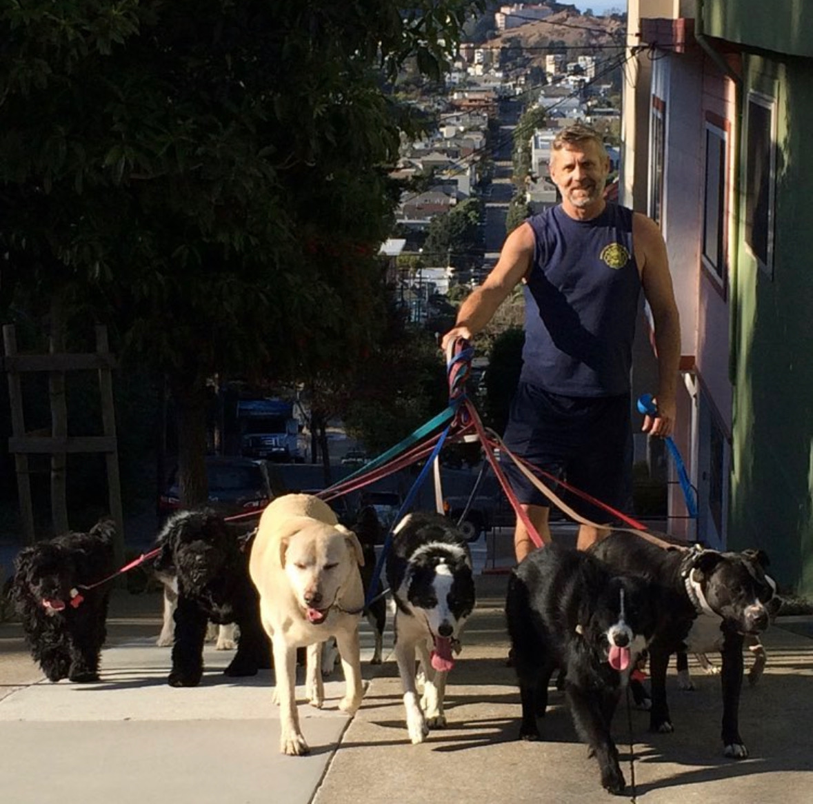 FUReverFUN Dog Care Services