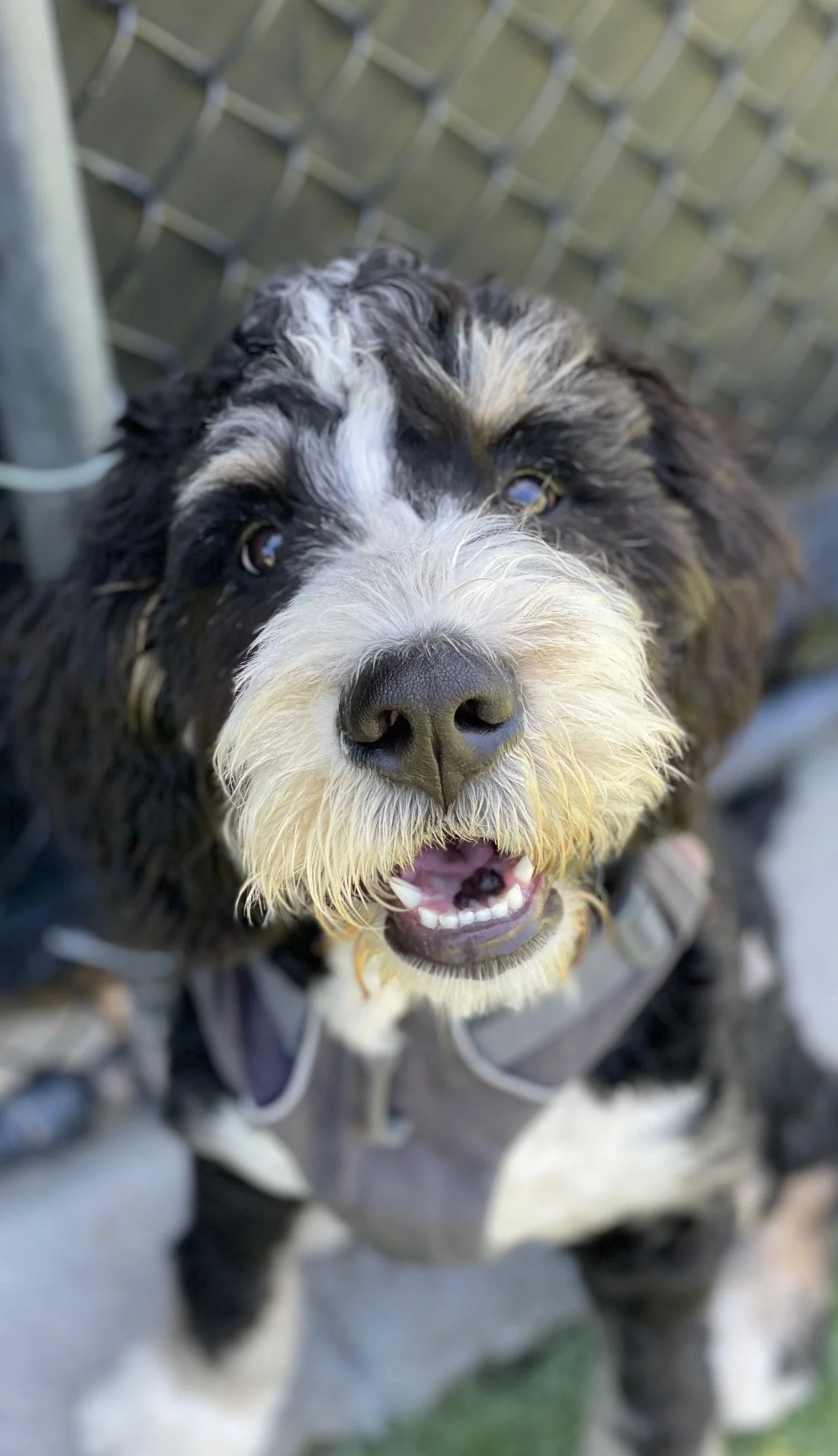 View recent photos.jpeg