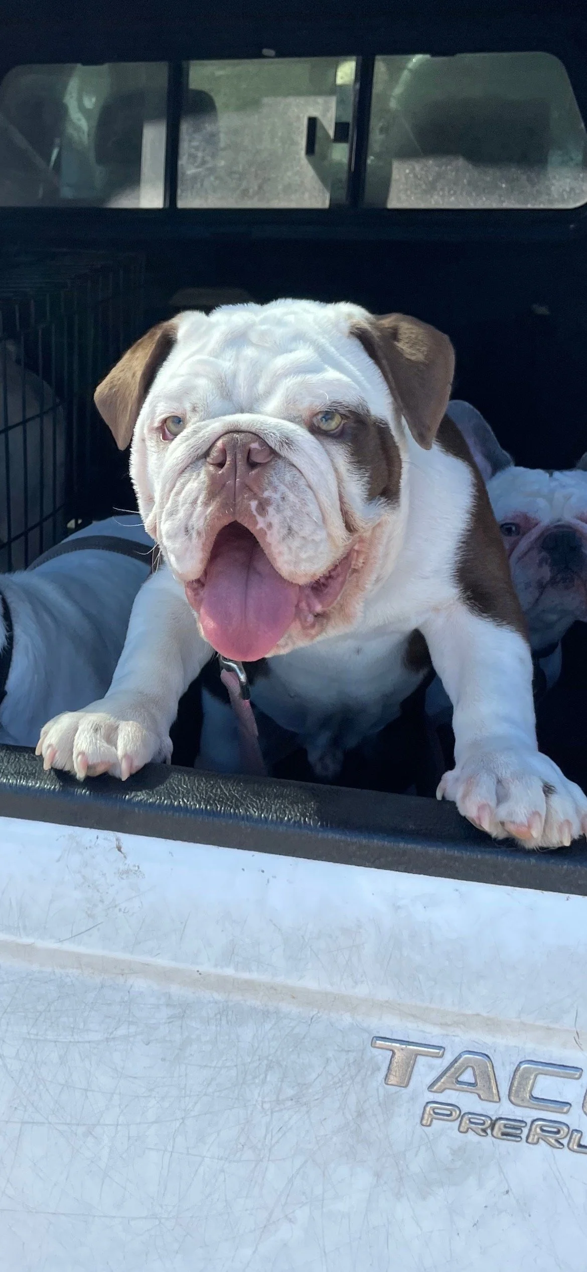 View recent photos.jpeg