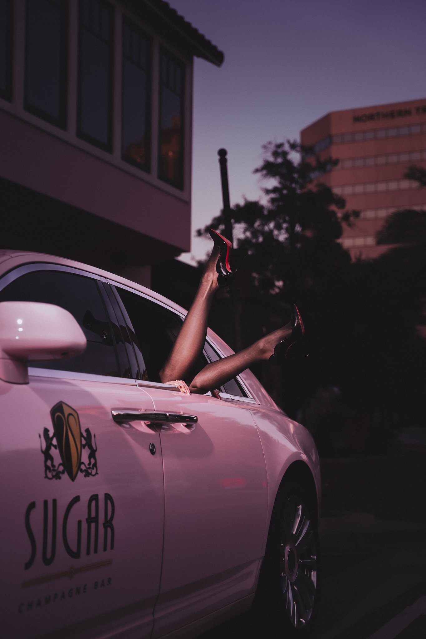 SugarBranding-30.jpg