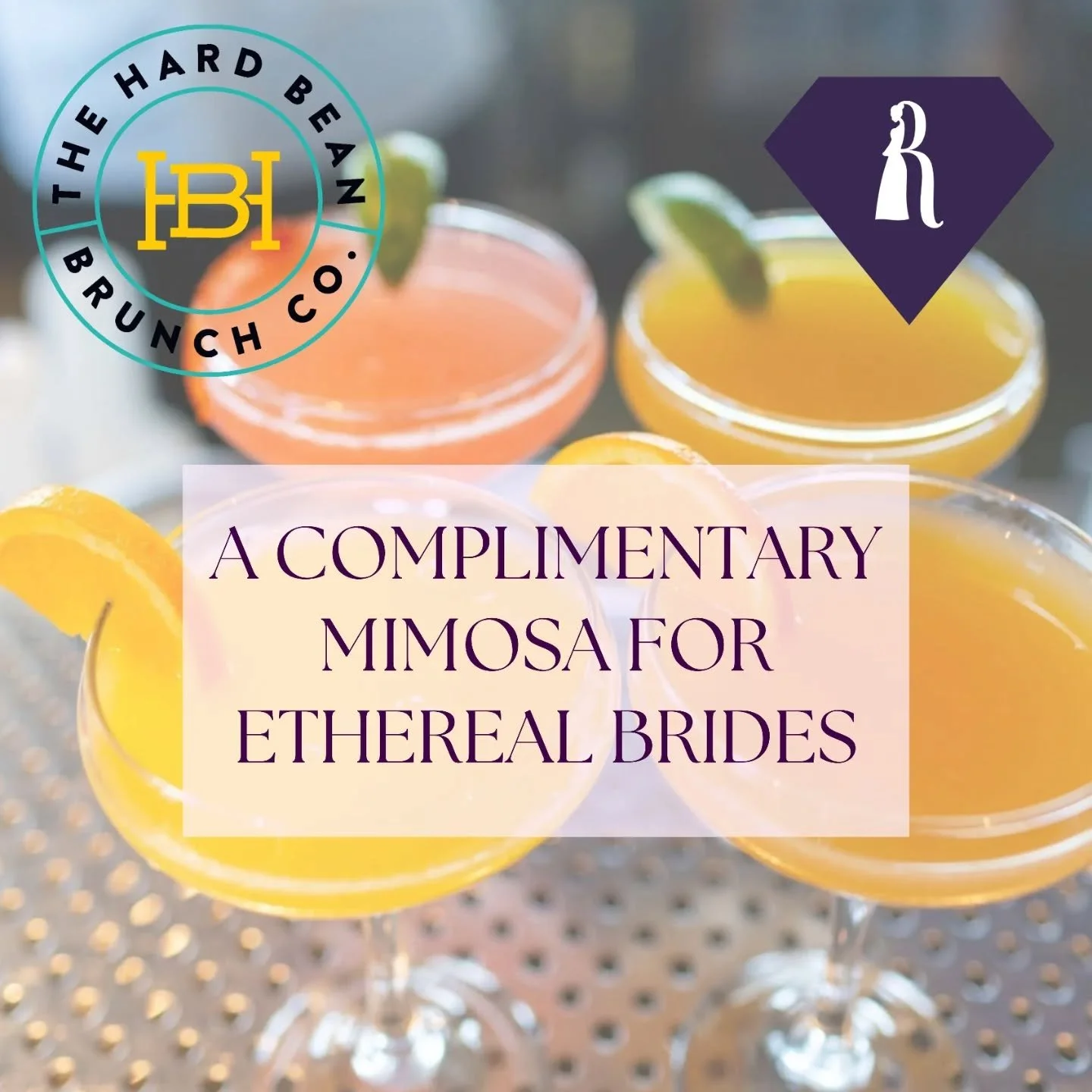 Exciting News 🥂

Ethereal Brides will now enjoy a complimentary mimosa at @thehardbeanbrunchco Port Moody! 
Because saying yes deserves a beautiful toast.
&mdash;
Brunch elegance or candlelit dinner celebration?
Comment Brunch or Dinner below. ✨