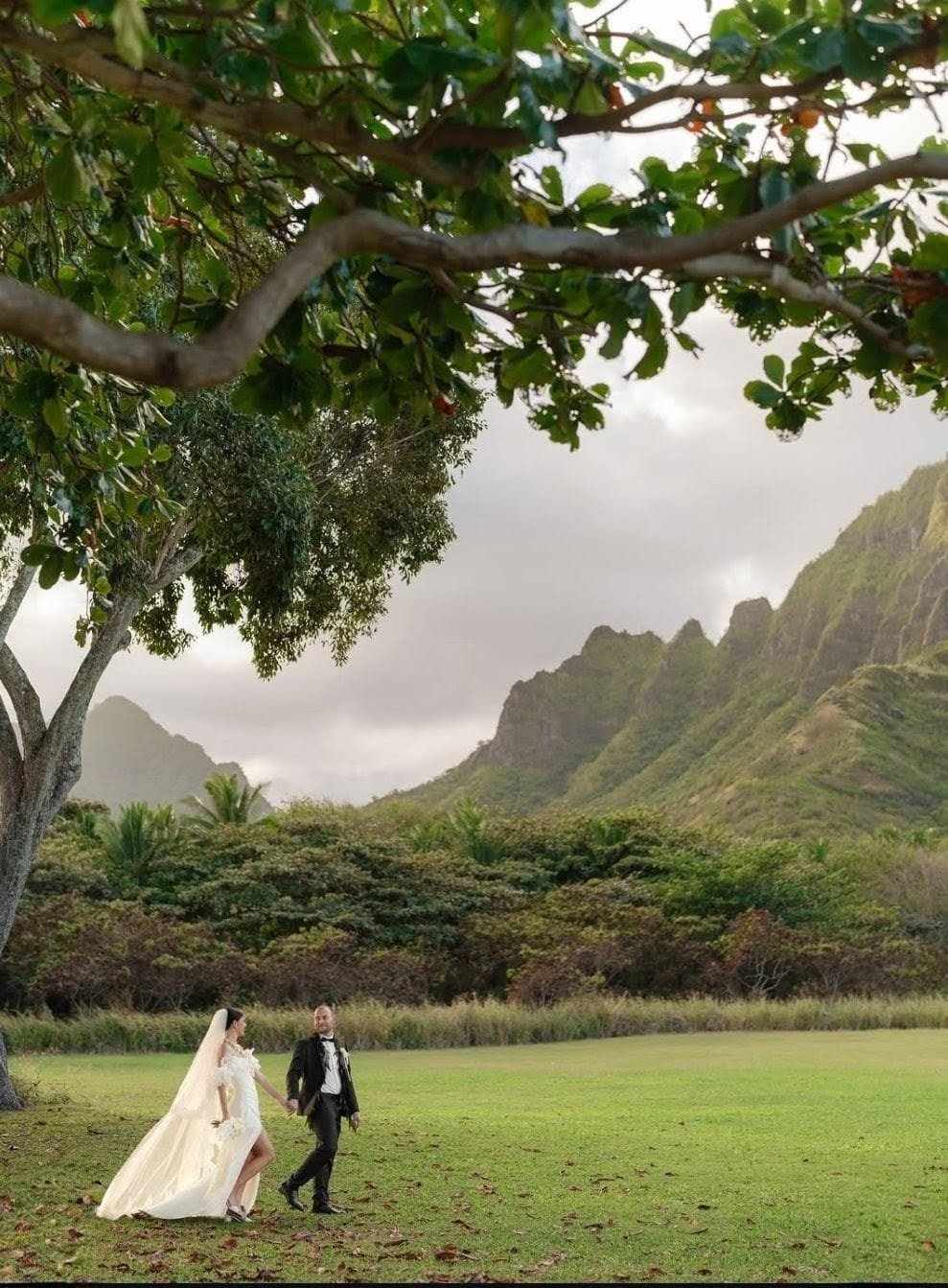 WhatsApp Image 2026-03-05 at 1.54.35 PM.jpeg