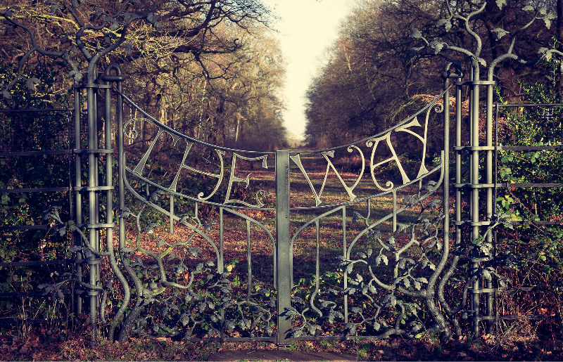 Don't Let Your Brain Decide