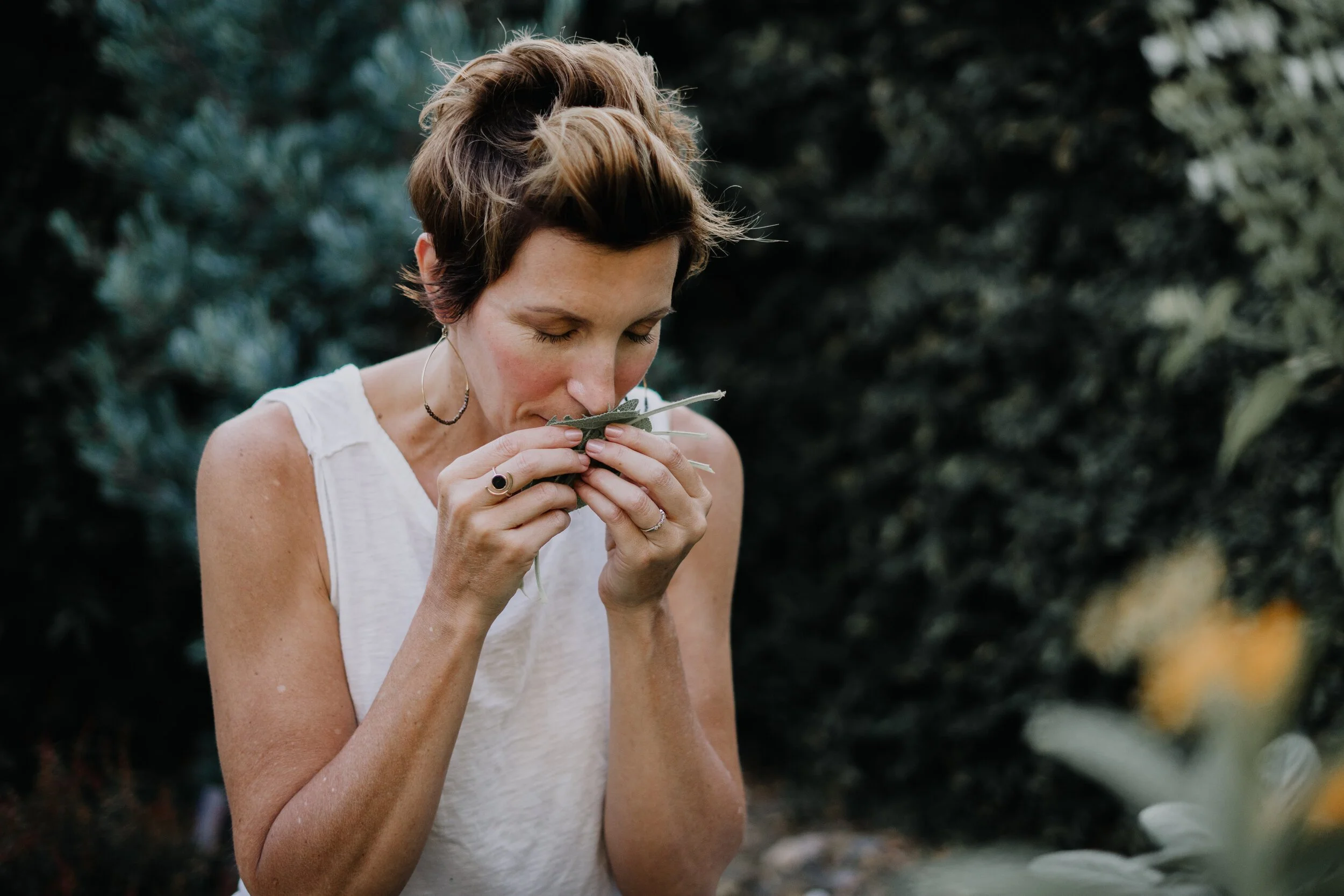 Last chance to sign up for Reset