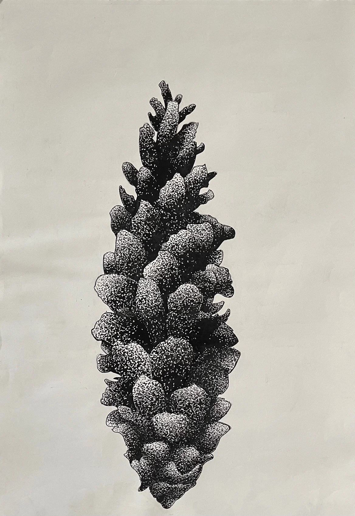 B:W Drawing 2.jpeg