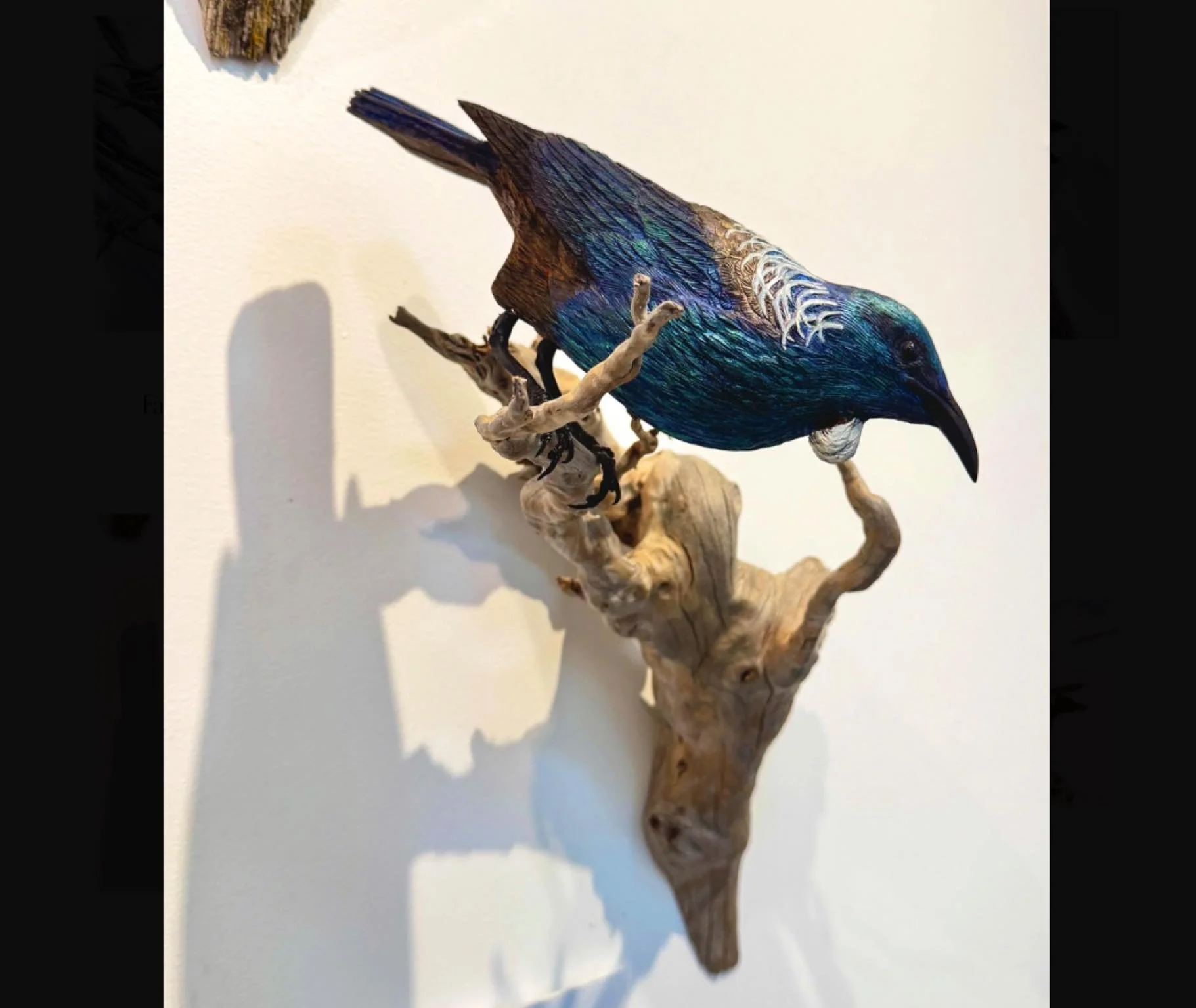 Incredibly lifelike! Another one of Luke Anthony’s birds, the “Tui”.
Hand carved out of native New Zealand Wood and mounted on found wood.