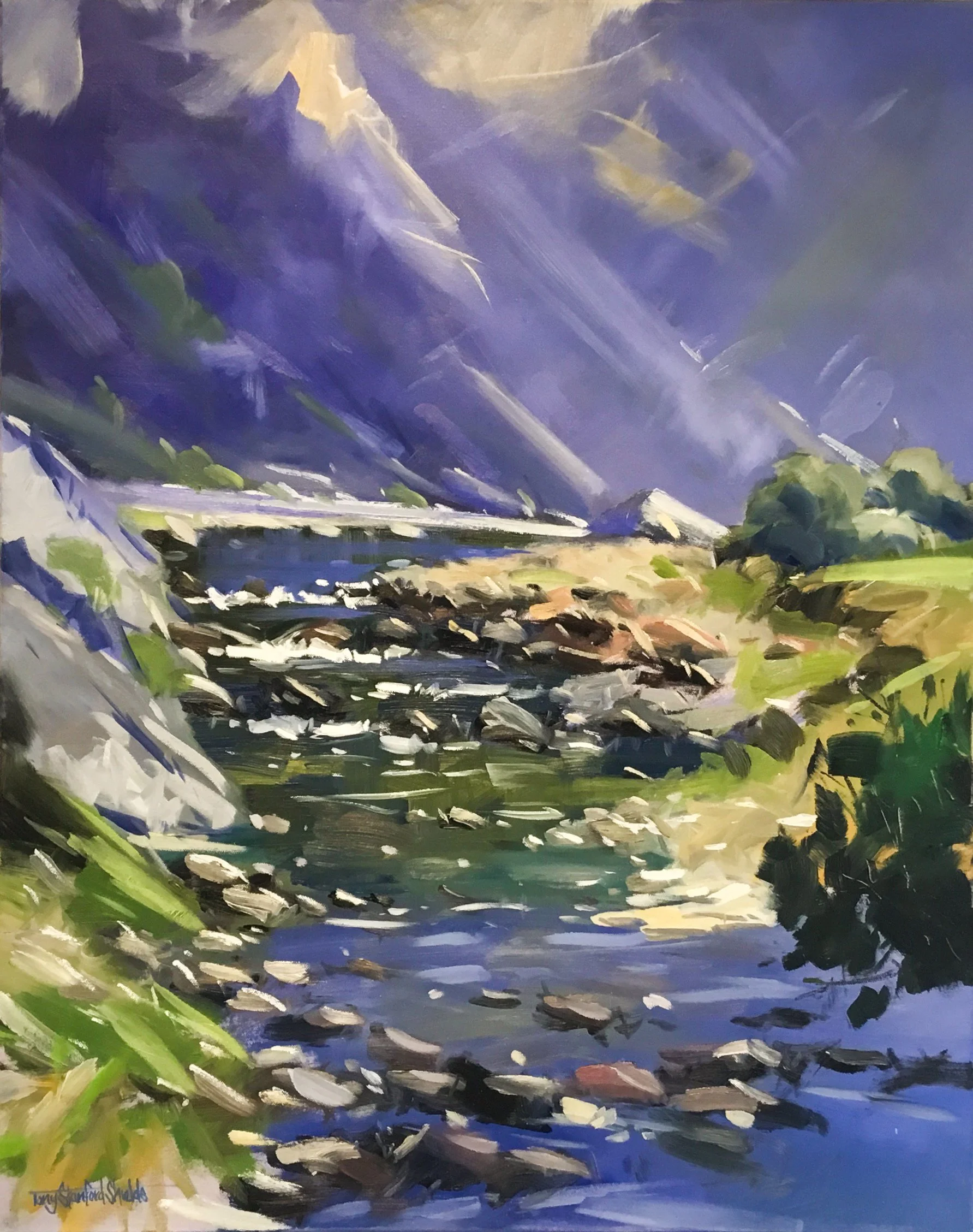 Tony Stanford Shields — Athol Gallery