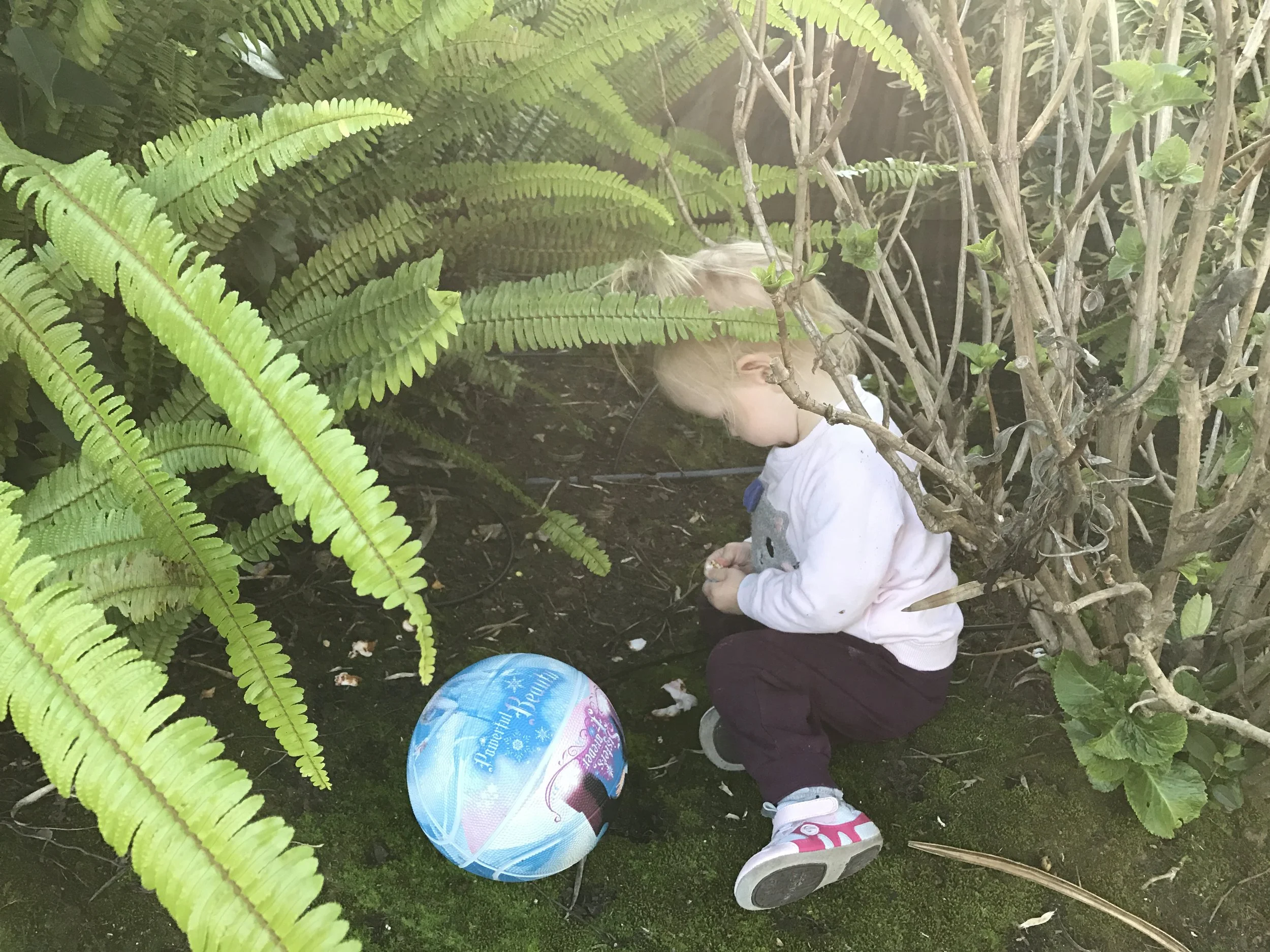 The Joy and Benefits of Free Play