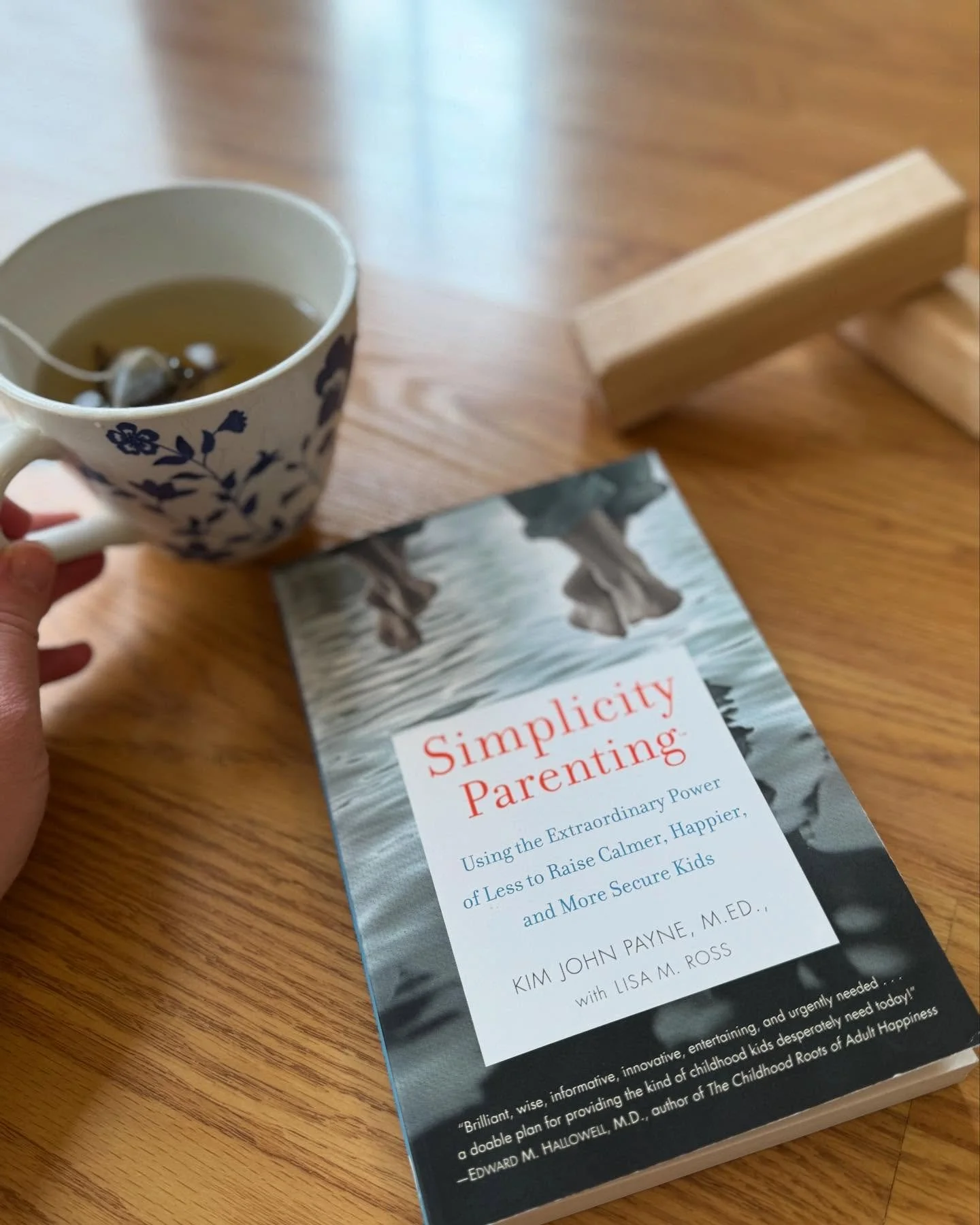 Simple days. Gentle rhythms.
Simplicity Parenting speaks to something deep and quiet.
Curious if it&rsquo;s found a home on your shelf, too 🌾
#cozyparenting #waldorfathome #simplicityparenting