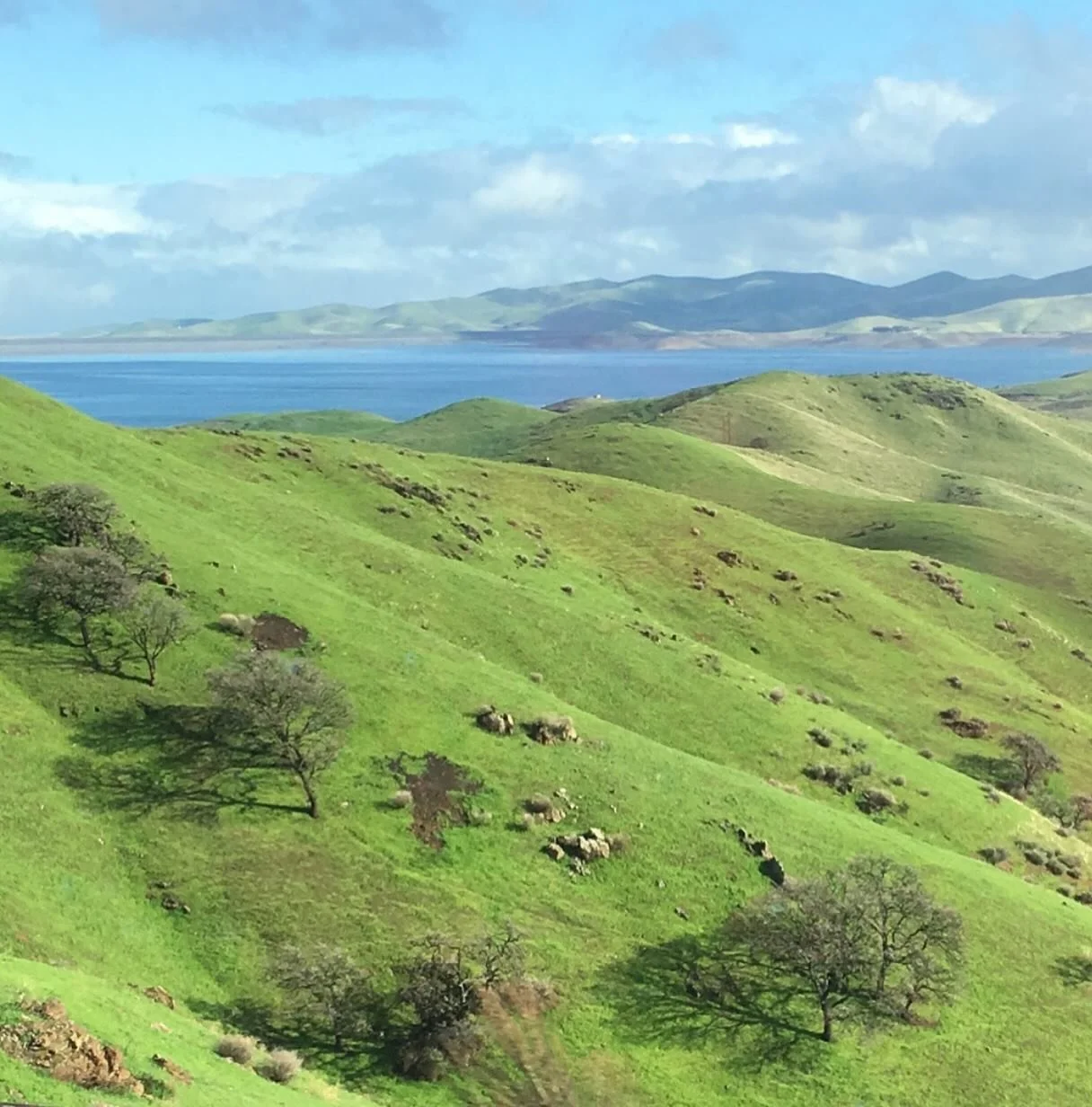 There is so much joy in slowing down and noticing the simple things&mdash;green hills, blue skies, small hands close by. Motherhood can be light, playful, and deeply alive when you allow yourself to enjoy it. This is a reminder: the ordinary days are