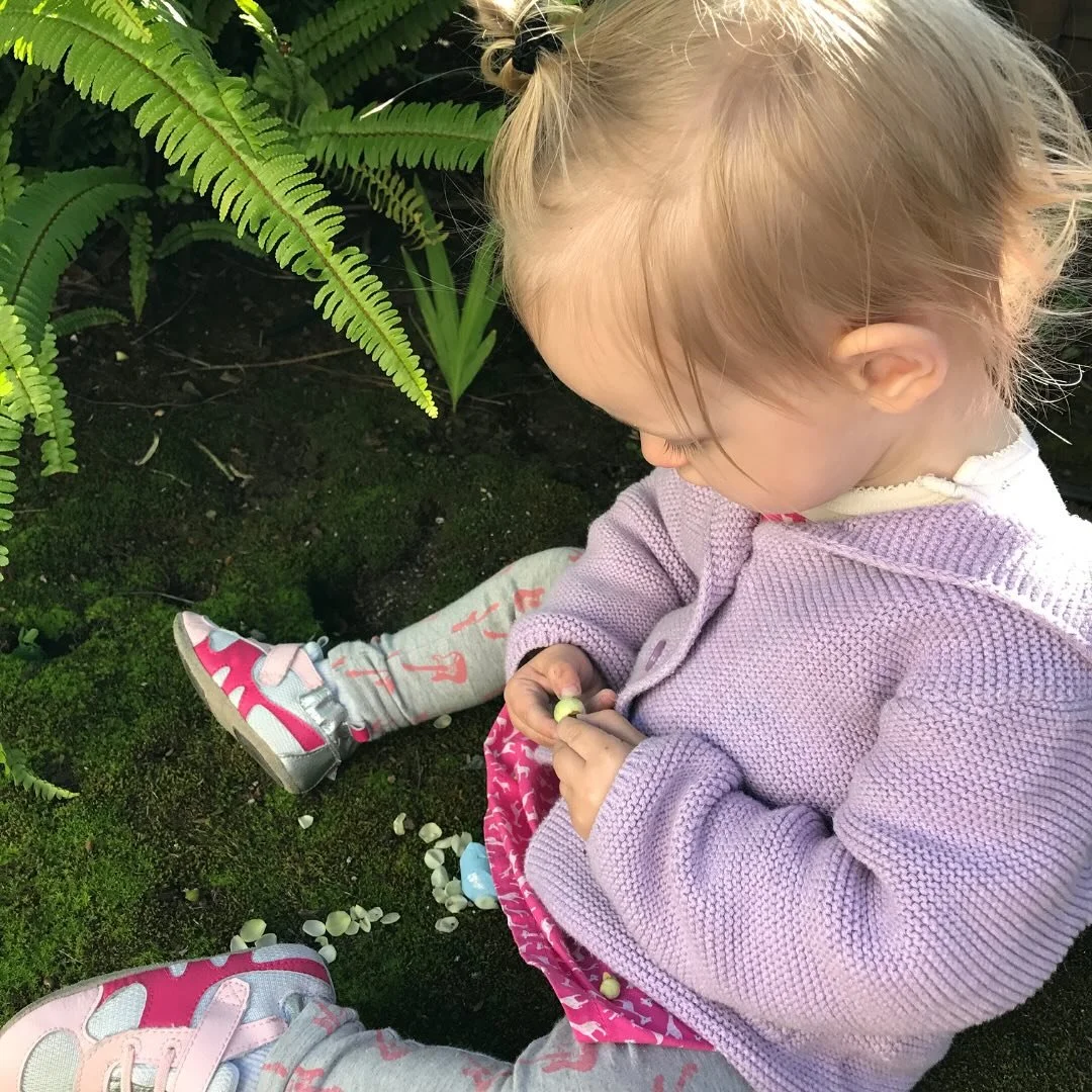 ✨Homeschool isn&rsquo;t just books and lessons &mdash; it&rsquo;s slow mornings, muddy boots, and pockets full of magic.✨
Here, we learn by living, we grow by wondering, and we find joy in the little things. 🌿🍃
If you dream of cozy, connected days,