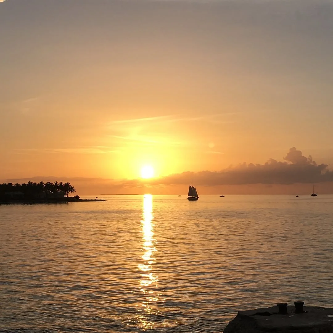 A new homeschool year is like summer light on the water&mdash;bright, open, full of possibility. You don&rsquo;t need to know everything before you begin. Curiosity will lead, joy will surprise you, and the small everyday moments will add up to somet