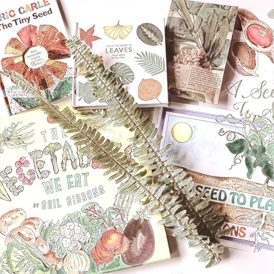 This month we are deep diving into everything plant related and I love it so much - I have learned so much about trees 🌳 I am even writing poem after poem about trees and forests &mdash; fae, elves, and nature ❤️