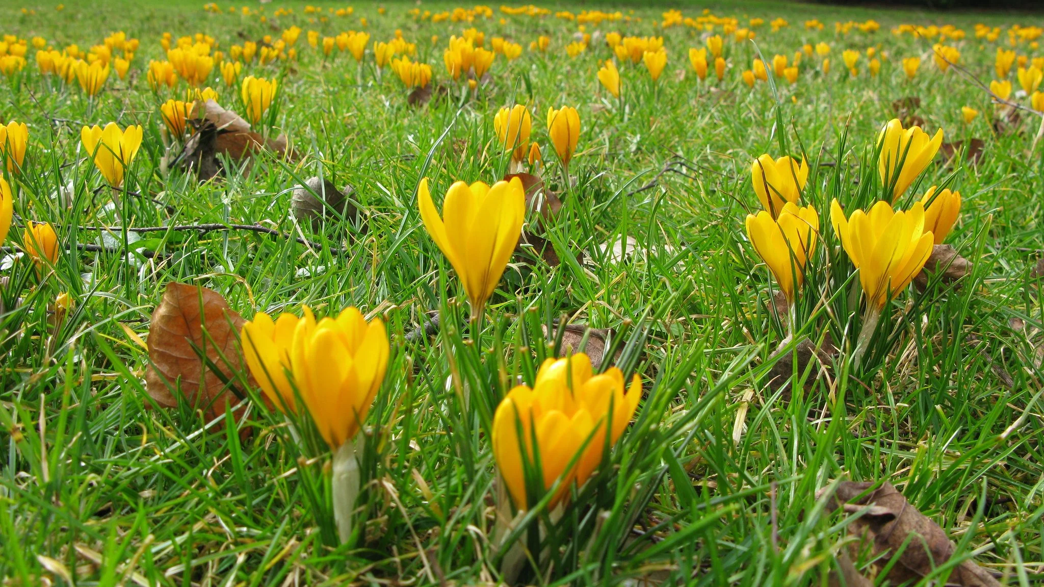 The Joy of Spring Hygge