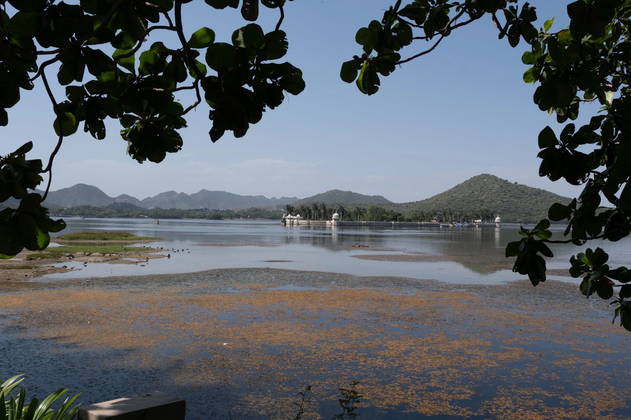 India-2.jpg
