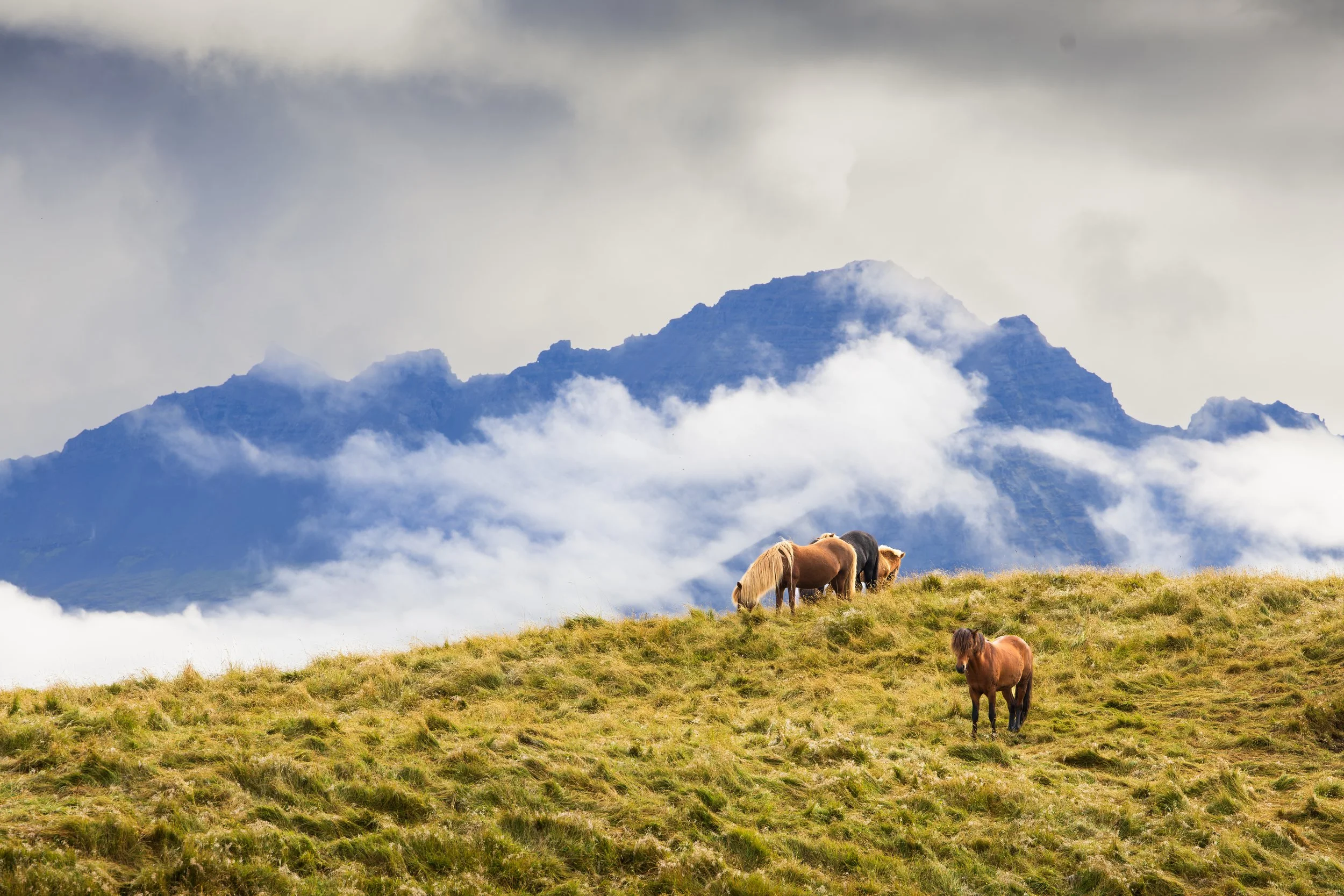 Iceland new-2.jpg