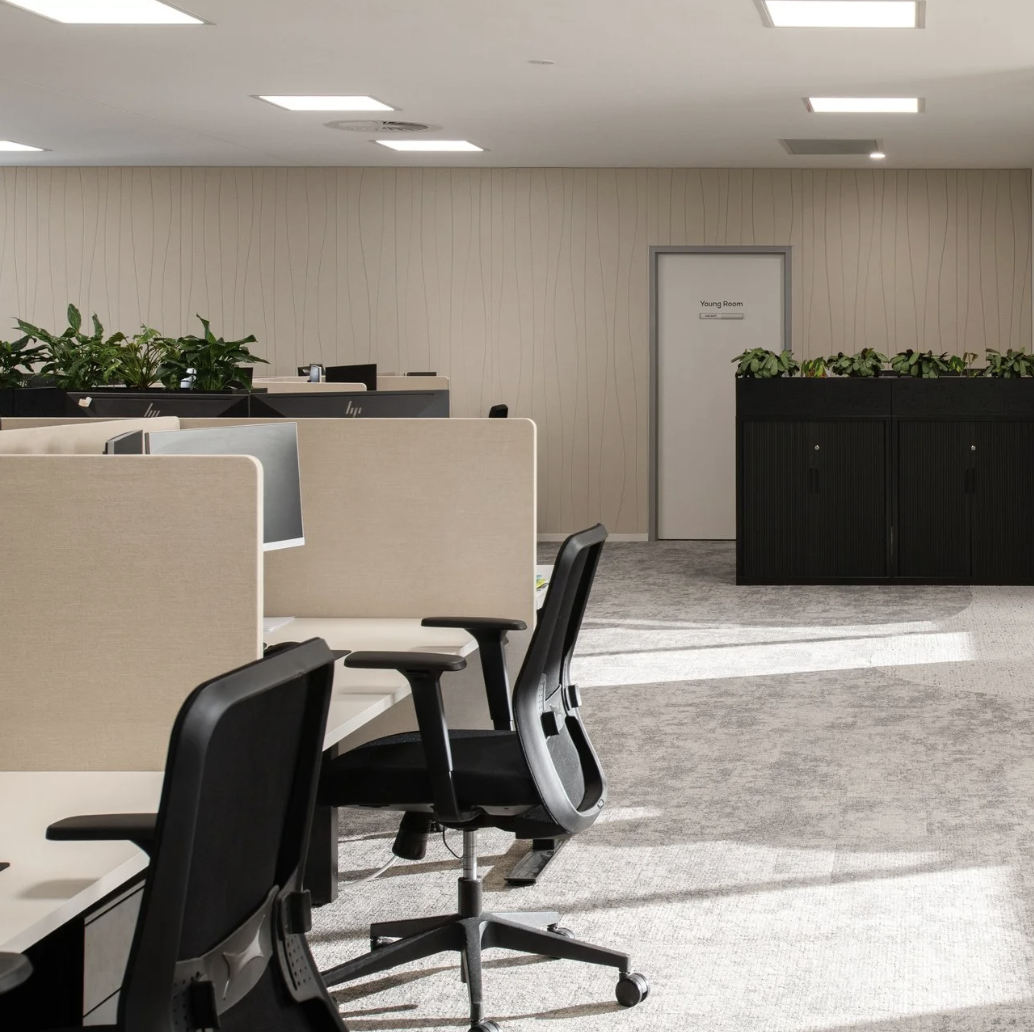 workplace fitout interior design hobart