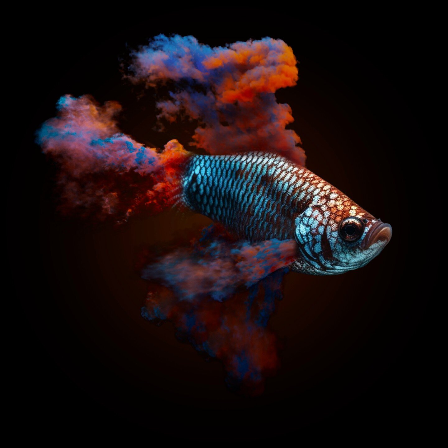 Smoke was created using Phoenix in 3Ds Max and rendered with Vray. The fish were created using Midjourney AI. Post work in Photoshop.

www.luma-imagery.com

#3dsmax #vray #render #cgi #vfx #vfxartist #smoke #fish #digitalart #digitalartist #freelance