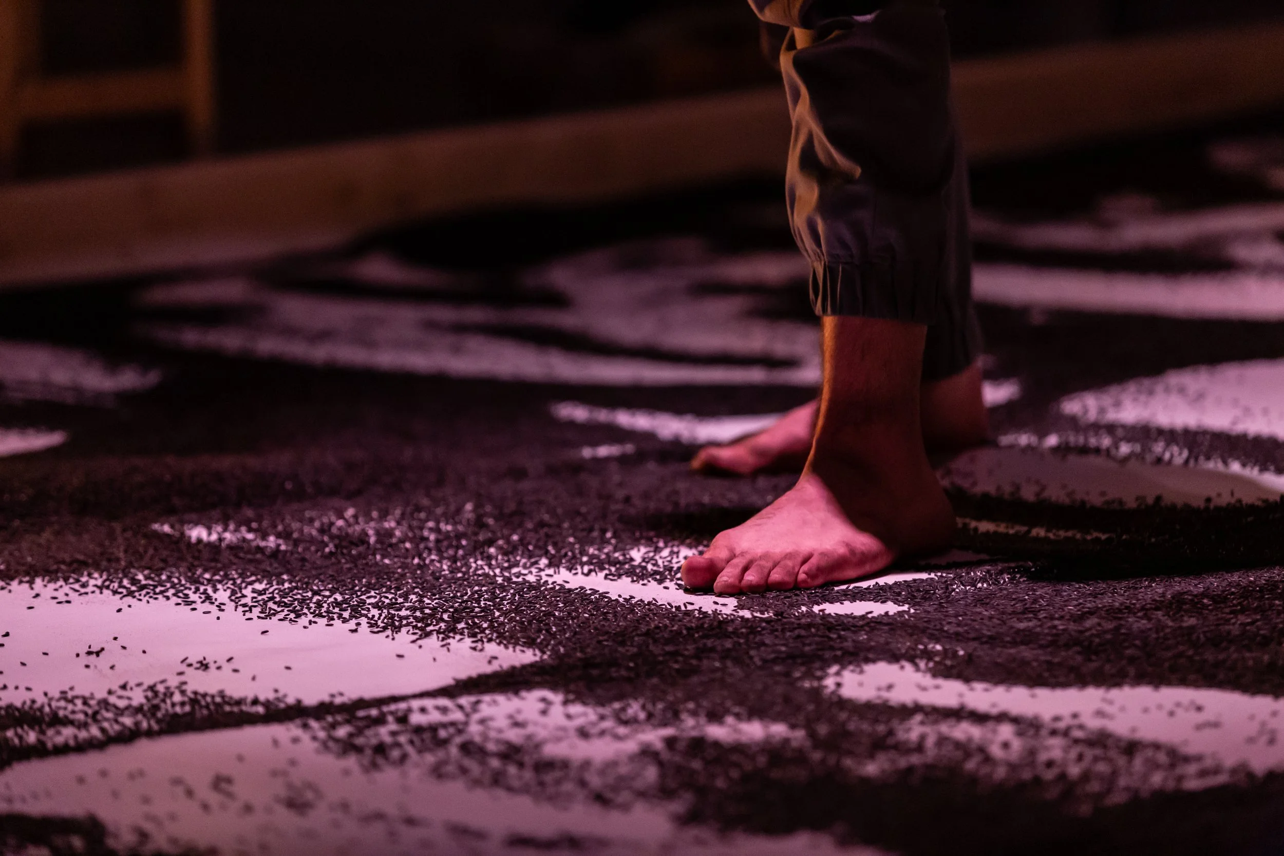 carbon-movements-the-invisible-practice