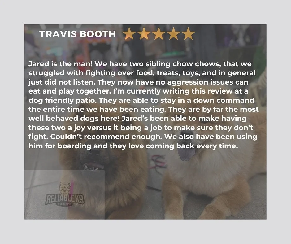 This line of work is truly a blessing. It&rsquo;s been incredibly rewarding to make a living doing something I&rsquo;m passionate about. 

But by far the most rewarding part of it all is helping dogs like this, and their owners, live happier and more