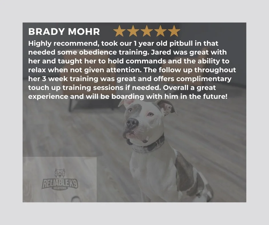 Luna was an A+ student from start to finish!