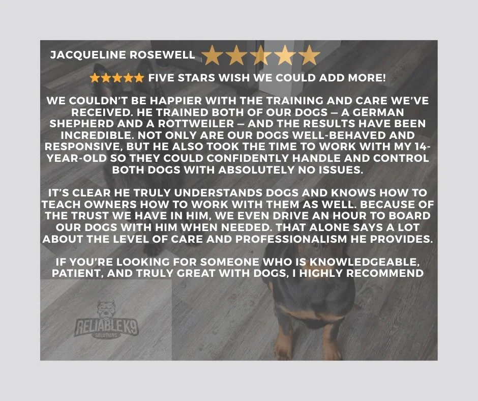 More satisfied members of the Reliable K9 Solutions family! Struggling with your dog&rsquo;s behavior? We can help!