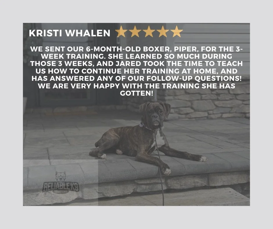 Another satisfied member of the Reliable K9 Solutions family.