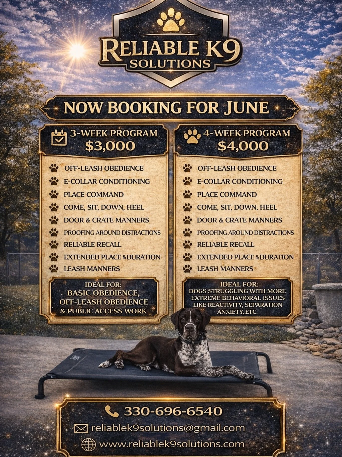 Our Board and Train program is currently booking for June! We only have 2 spots left in June and 4 in July.