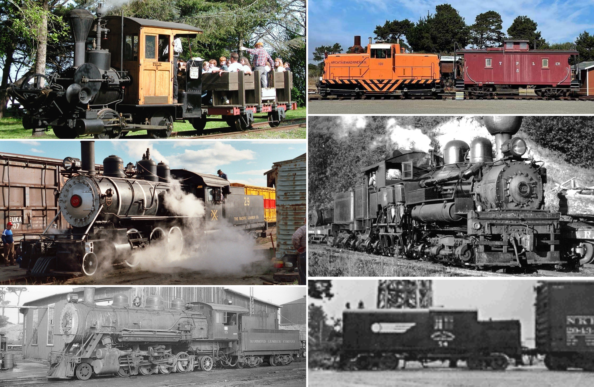 The Collection — Timber Heritage Association
